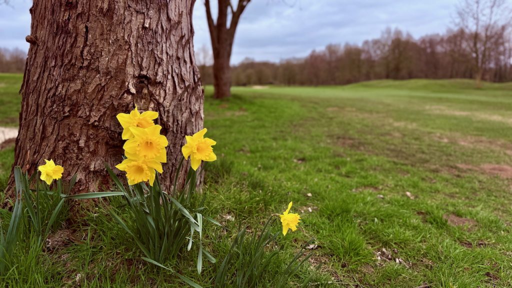 Golfclub Weselerwald