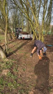 golfclub-weselerwald-holzwürmer.2.1