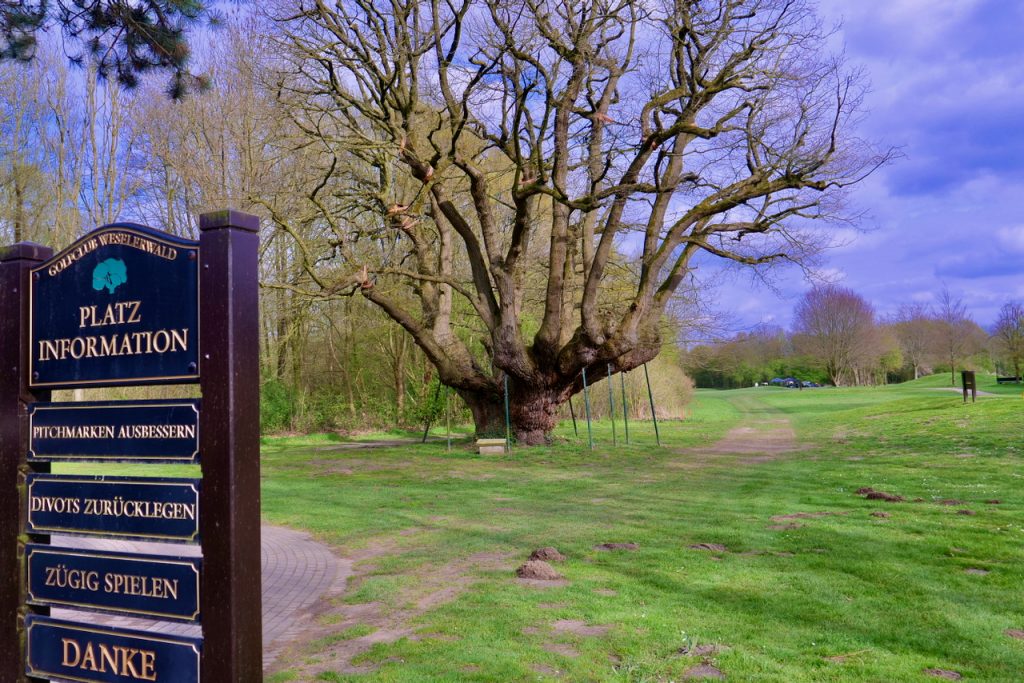 golfclub weselerwald osterfeuerturnier