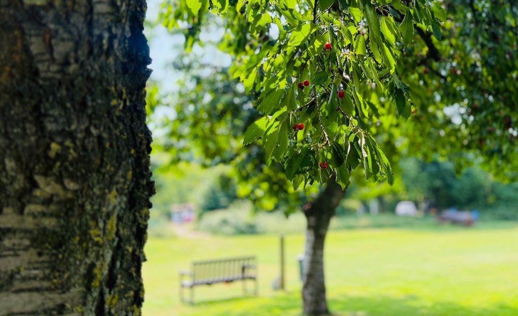 Golfclub Weselerwald Academy Kurs - 13 von 19
