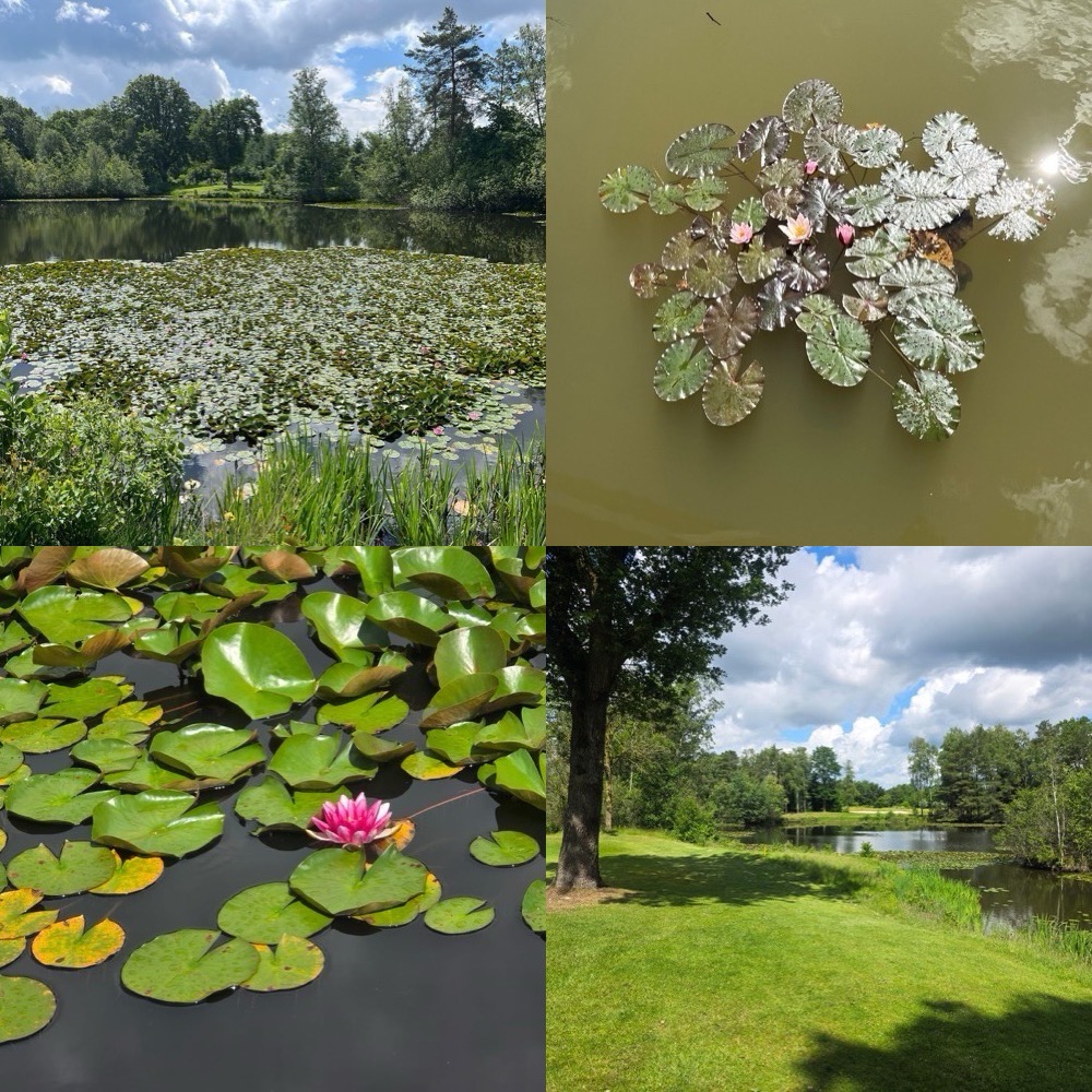 Impressionen Golfplatz