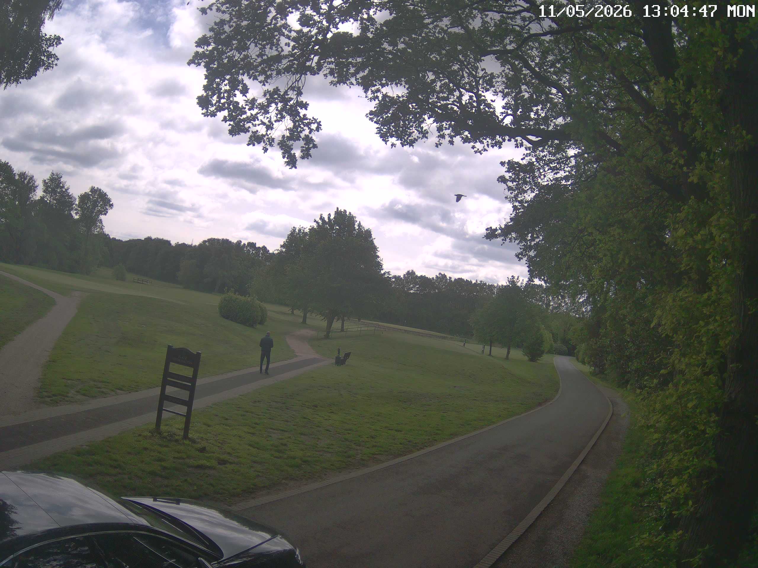GCW Webcam Grün 10