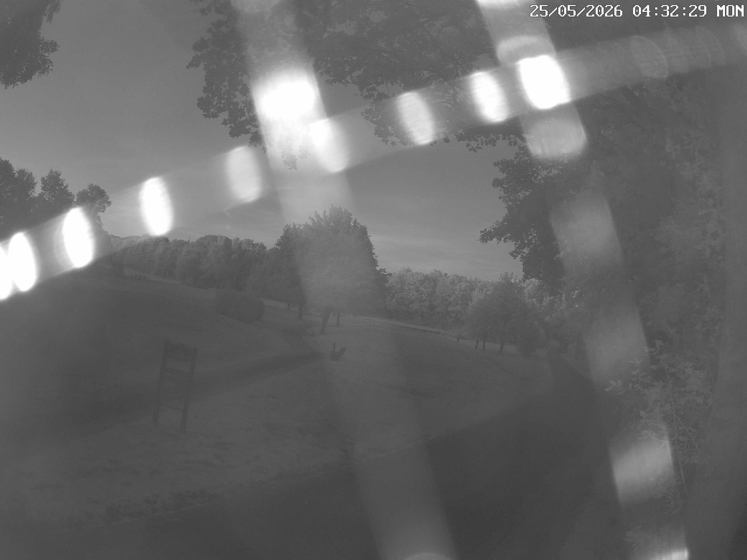 GCW Webcam Grün 10