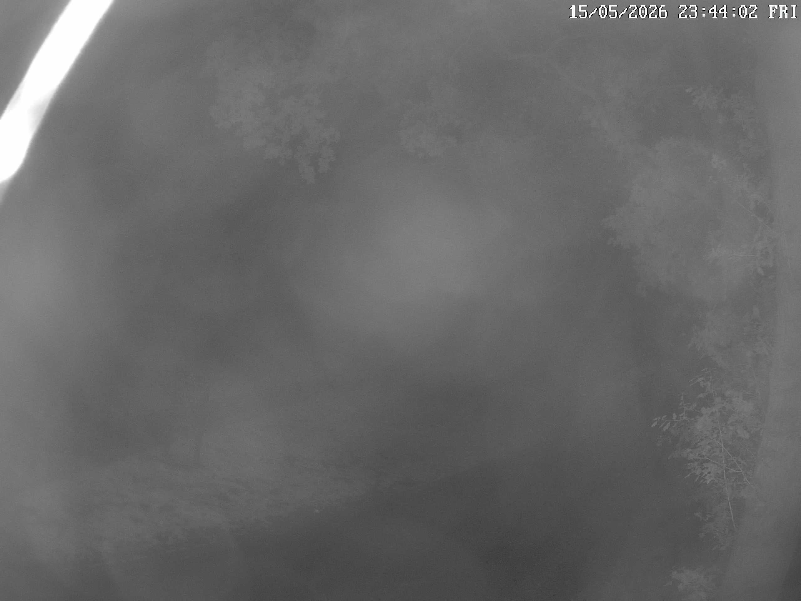 GCW Webcam Grün 10