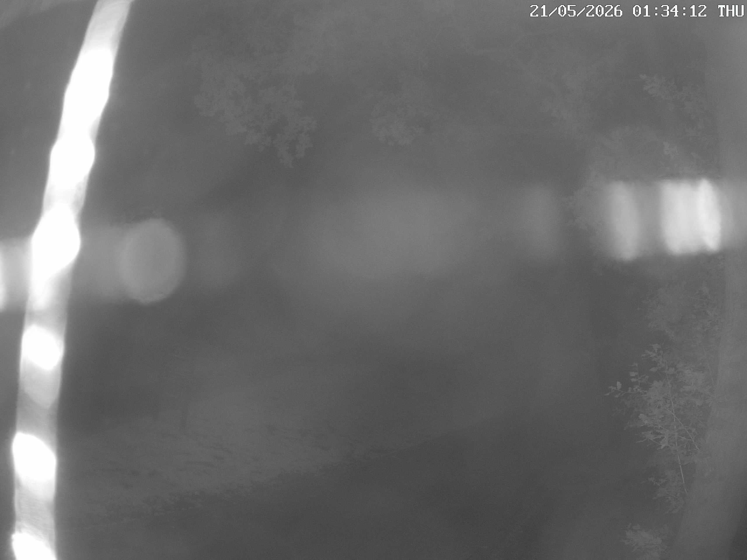 GCW Webcam Grün 10