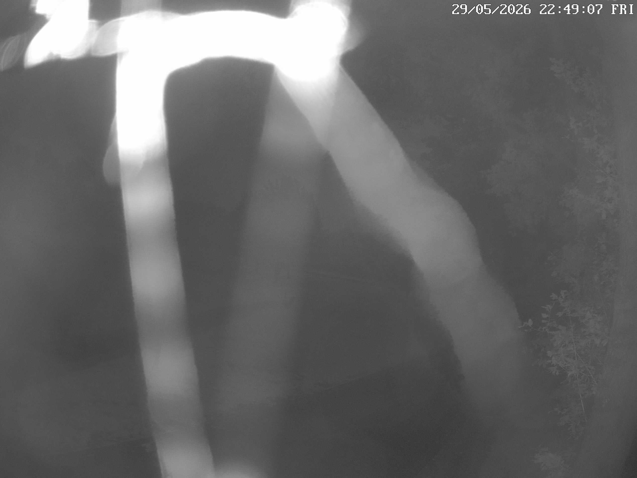 GCW Webcam Grün 10
