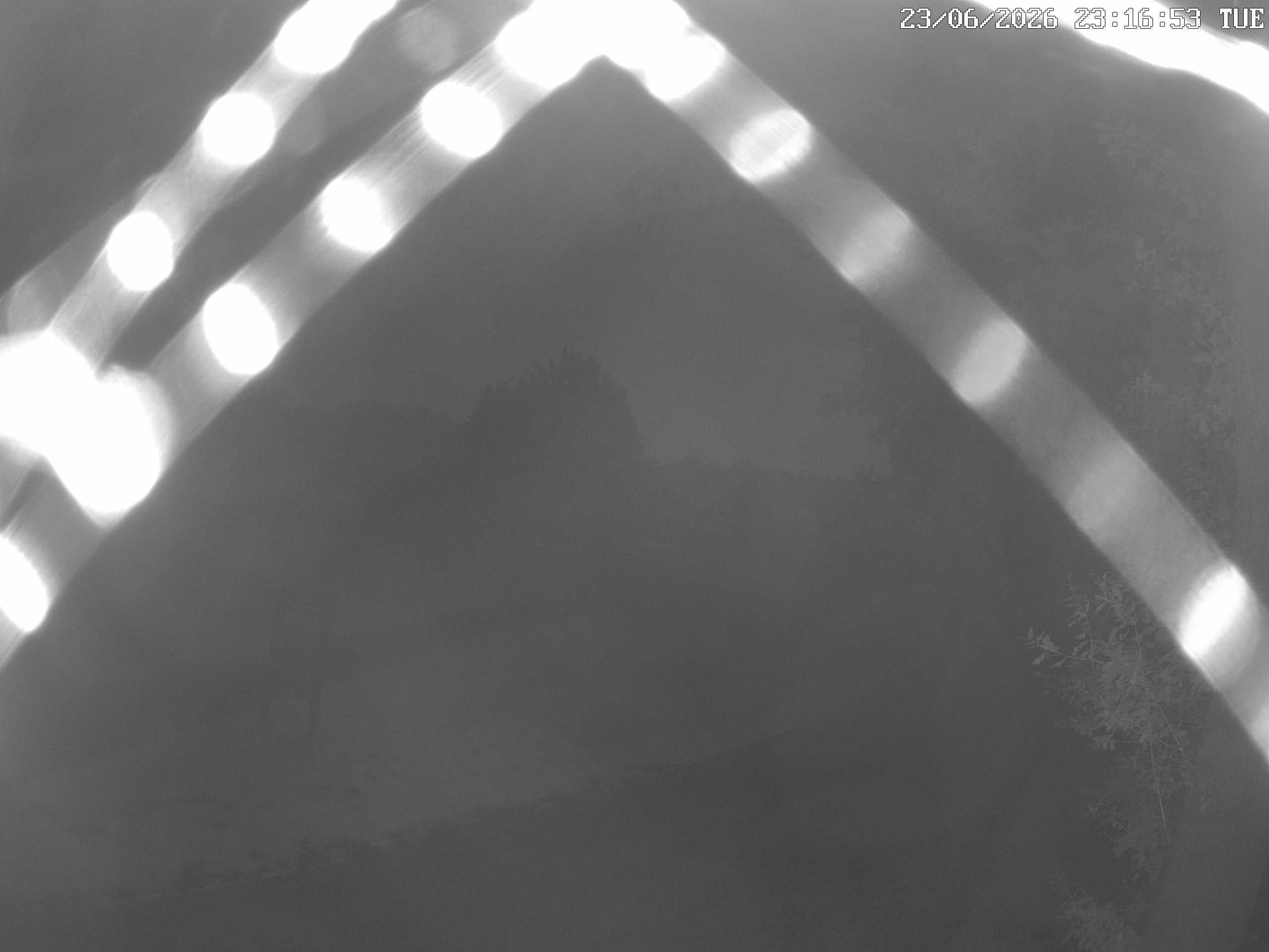 GCW Webcam Grün 10
