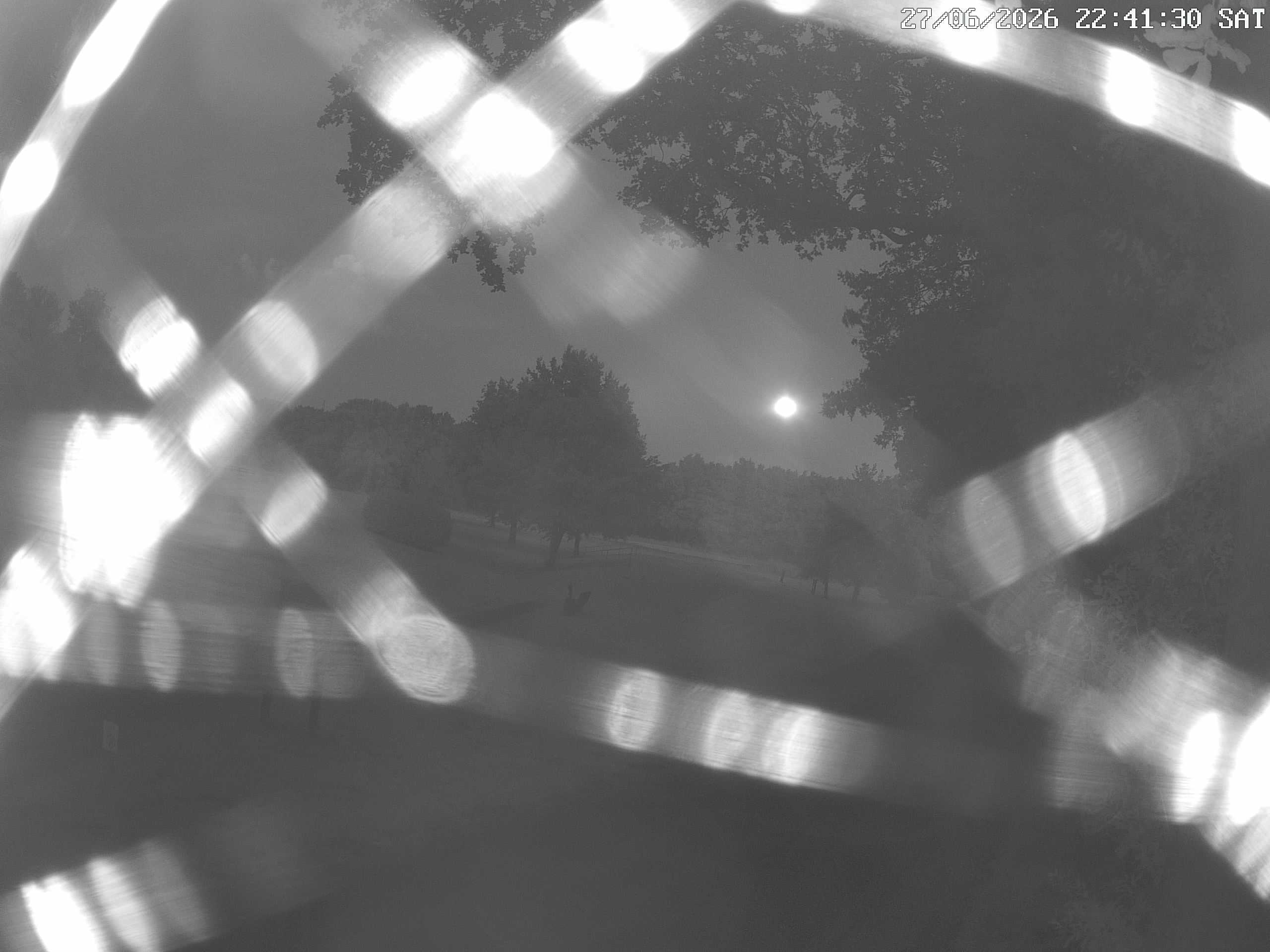 GCW Webcam Grün 10