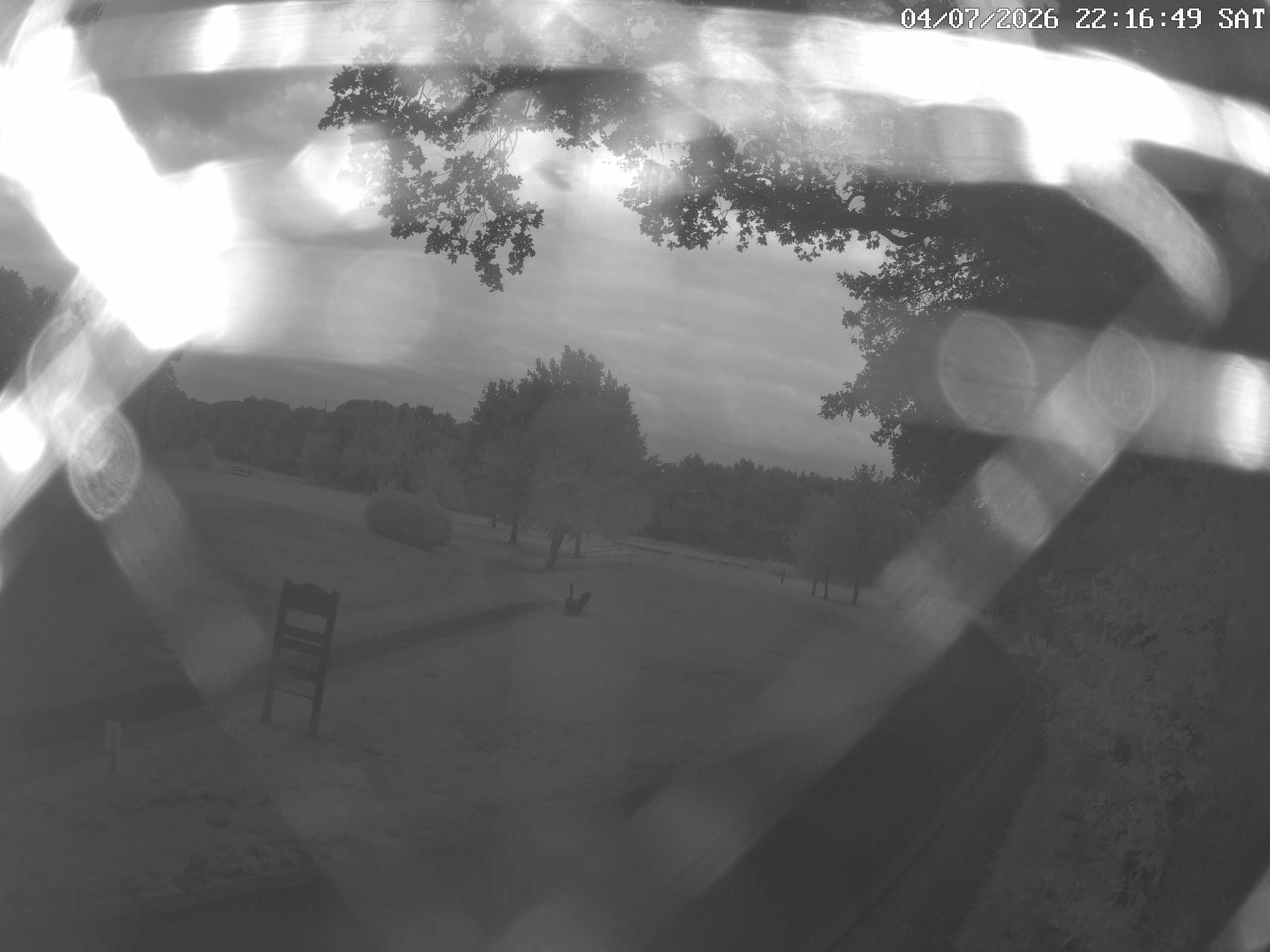 GCW Webcam Grün 10