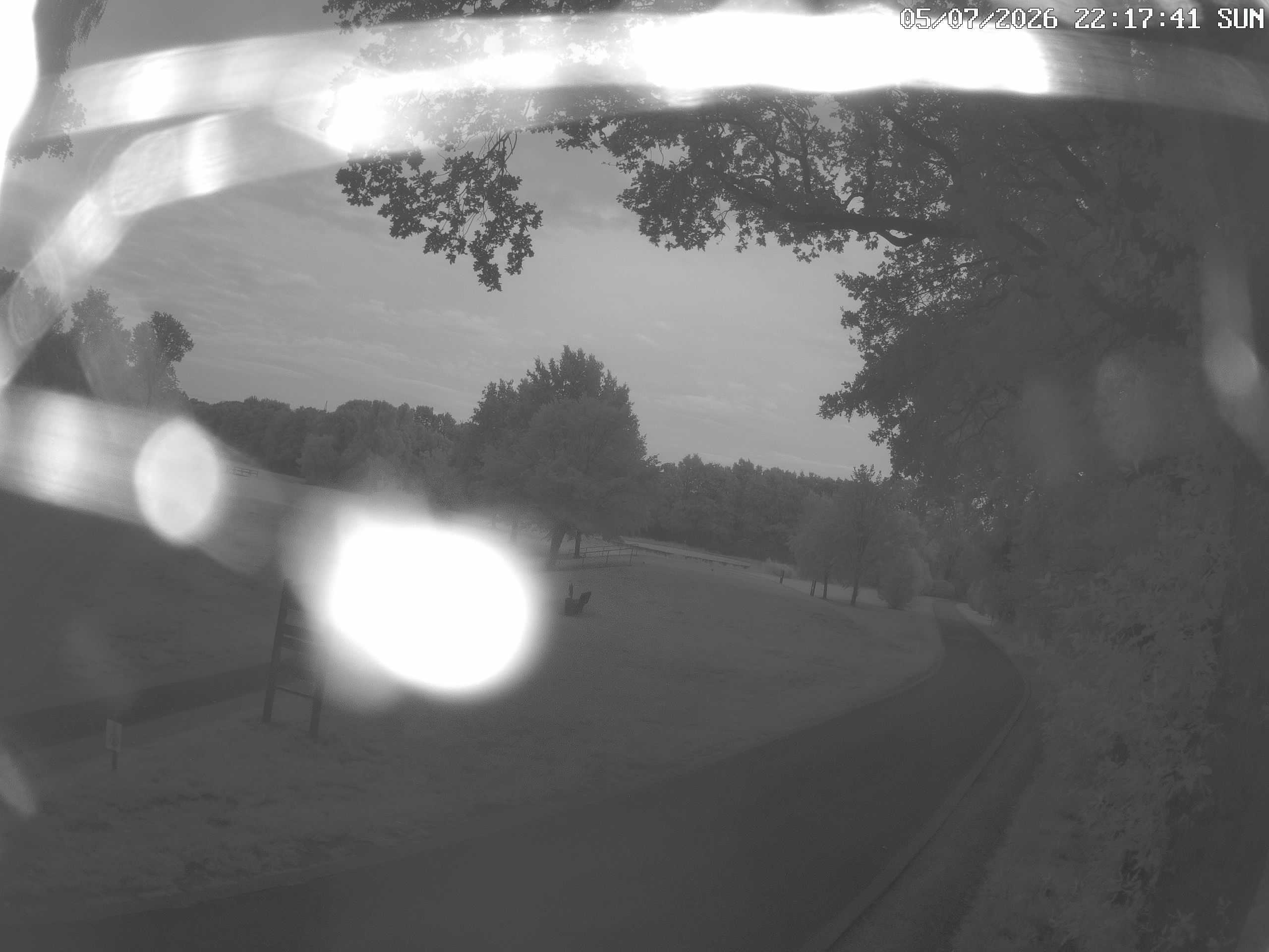 GCW Webcam Grün 10