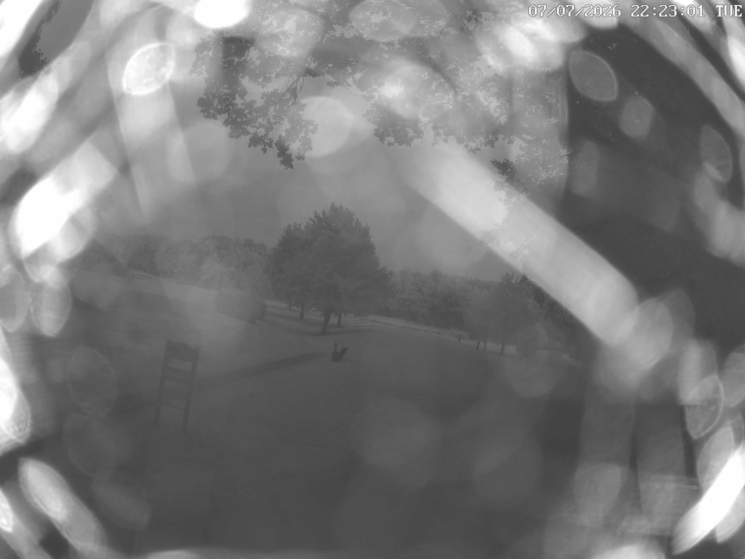 GCW Webcam Grün 10