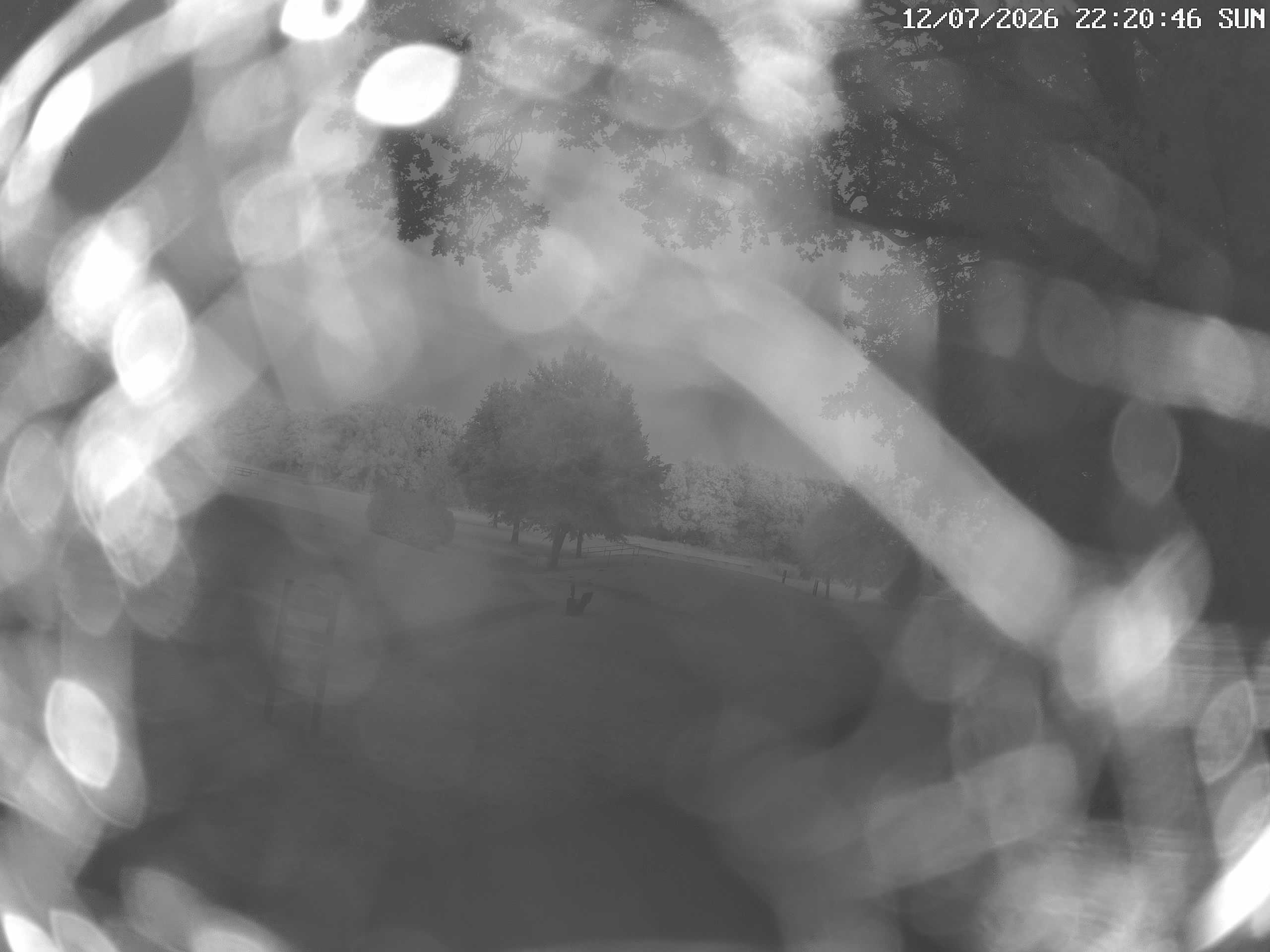 GCW Webcam Grün 10