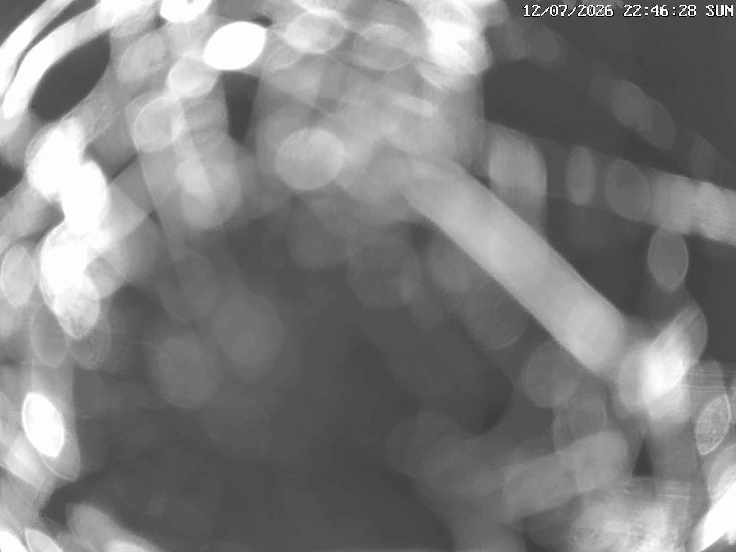 GCW Webcam Grün 10