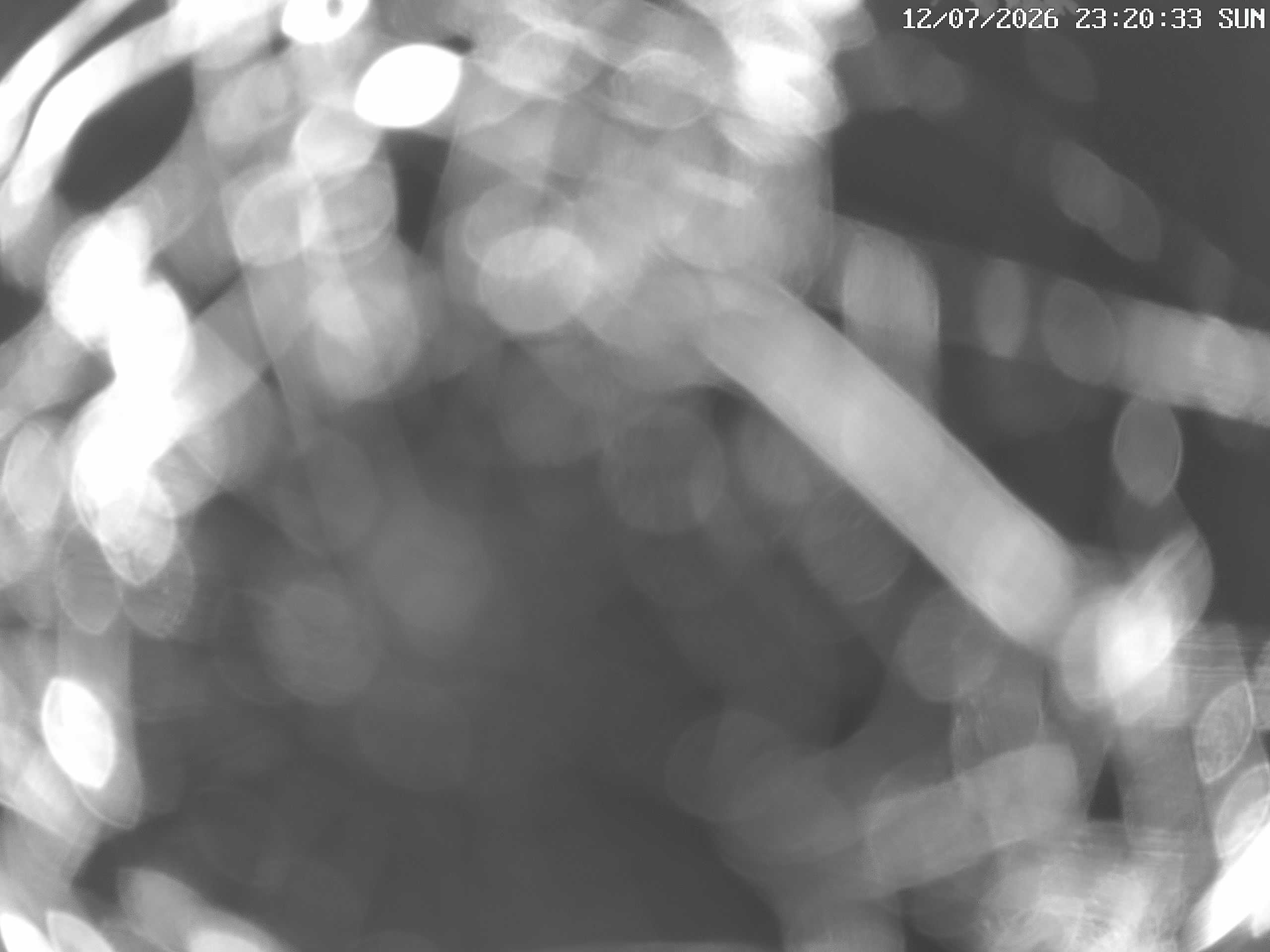 GCW Webcam Grün 10