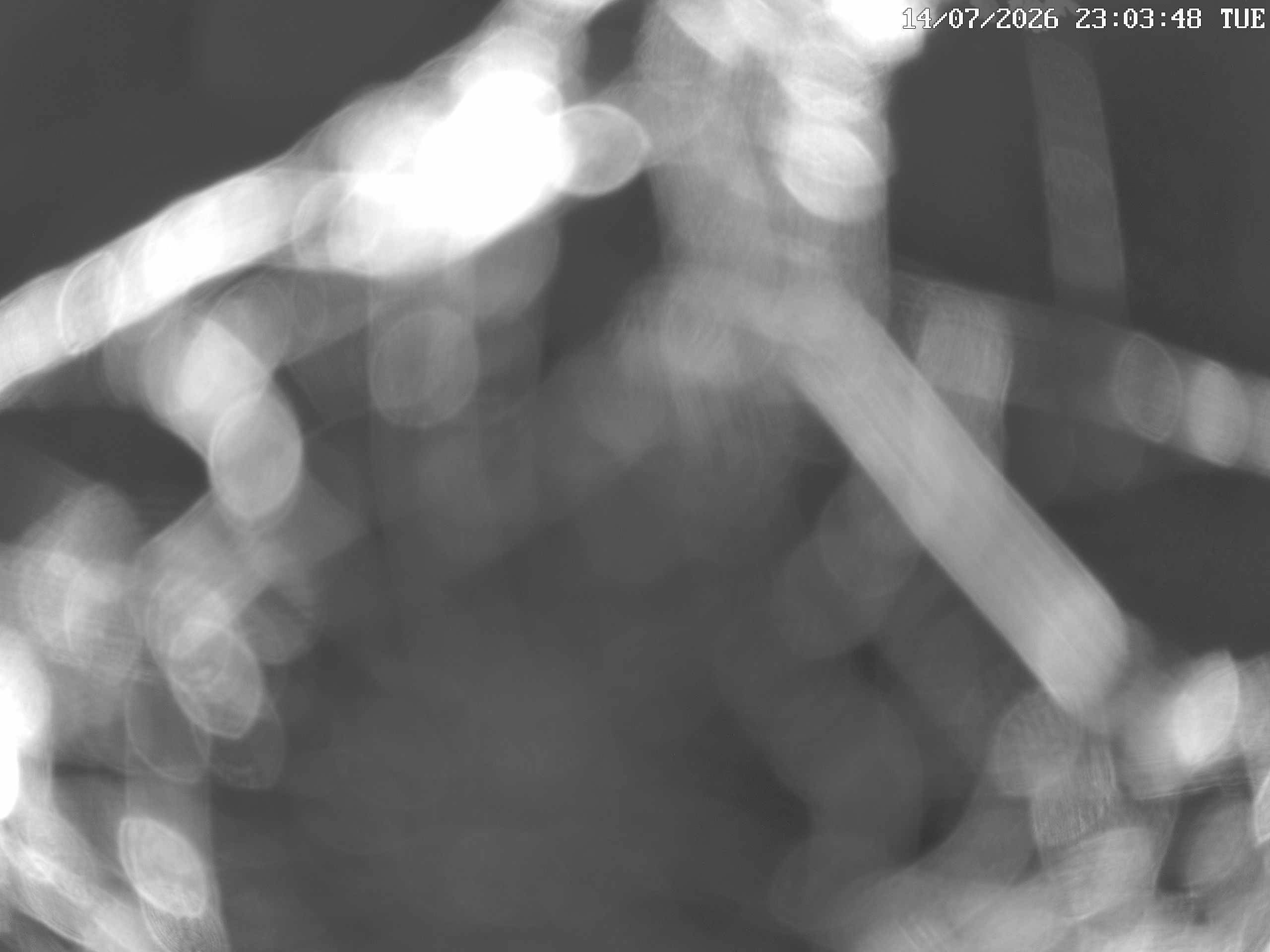 GCW Webcam Grün 10