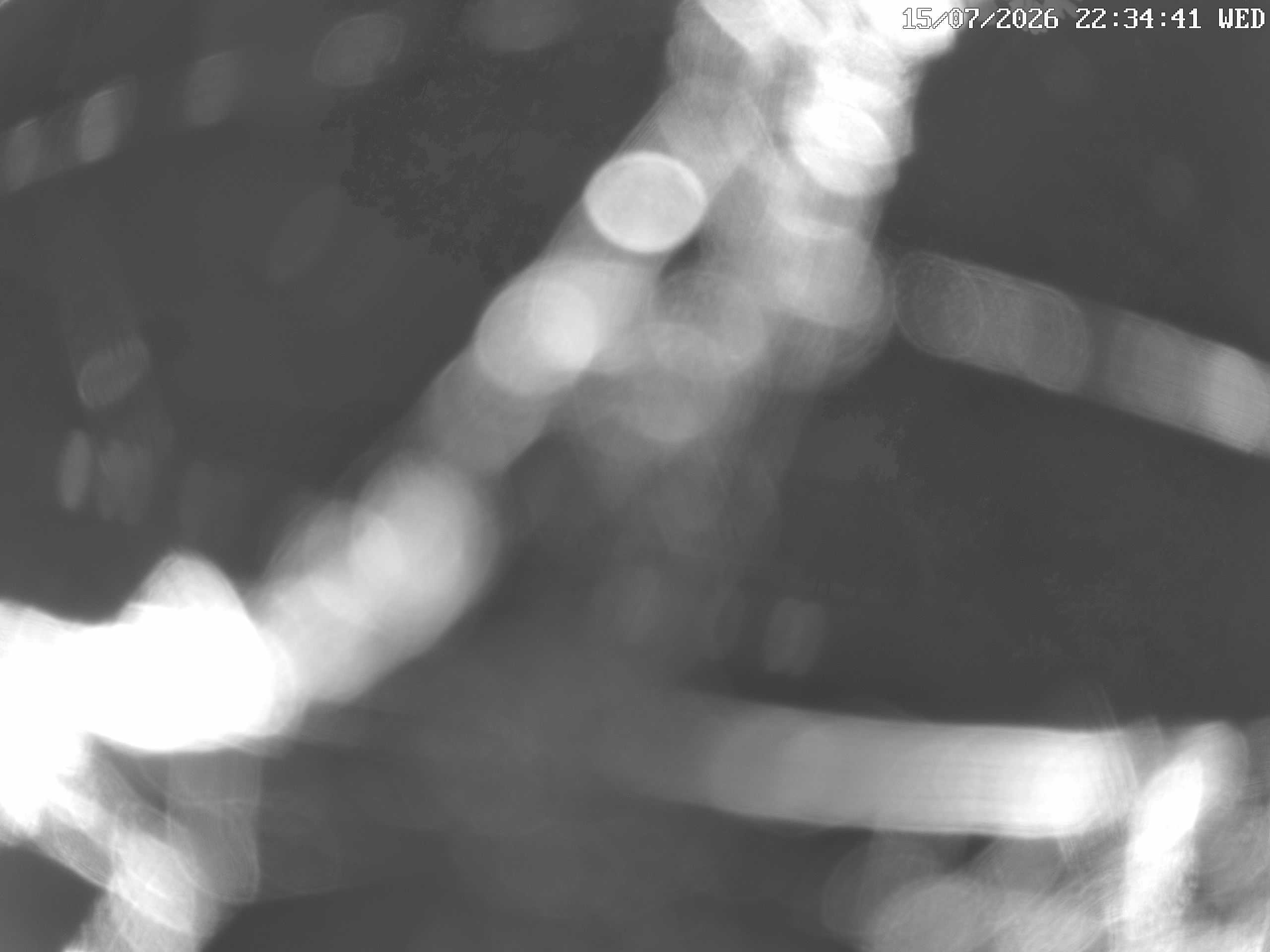 GCW Webcam Grün 10