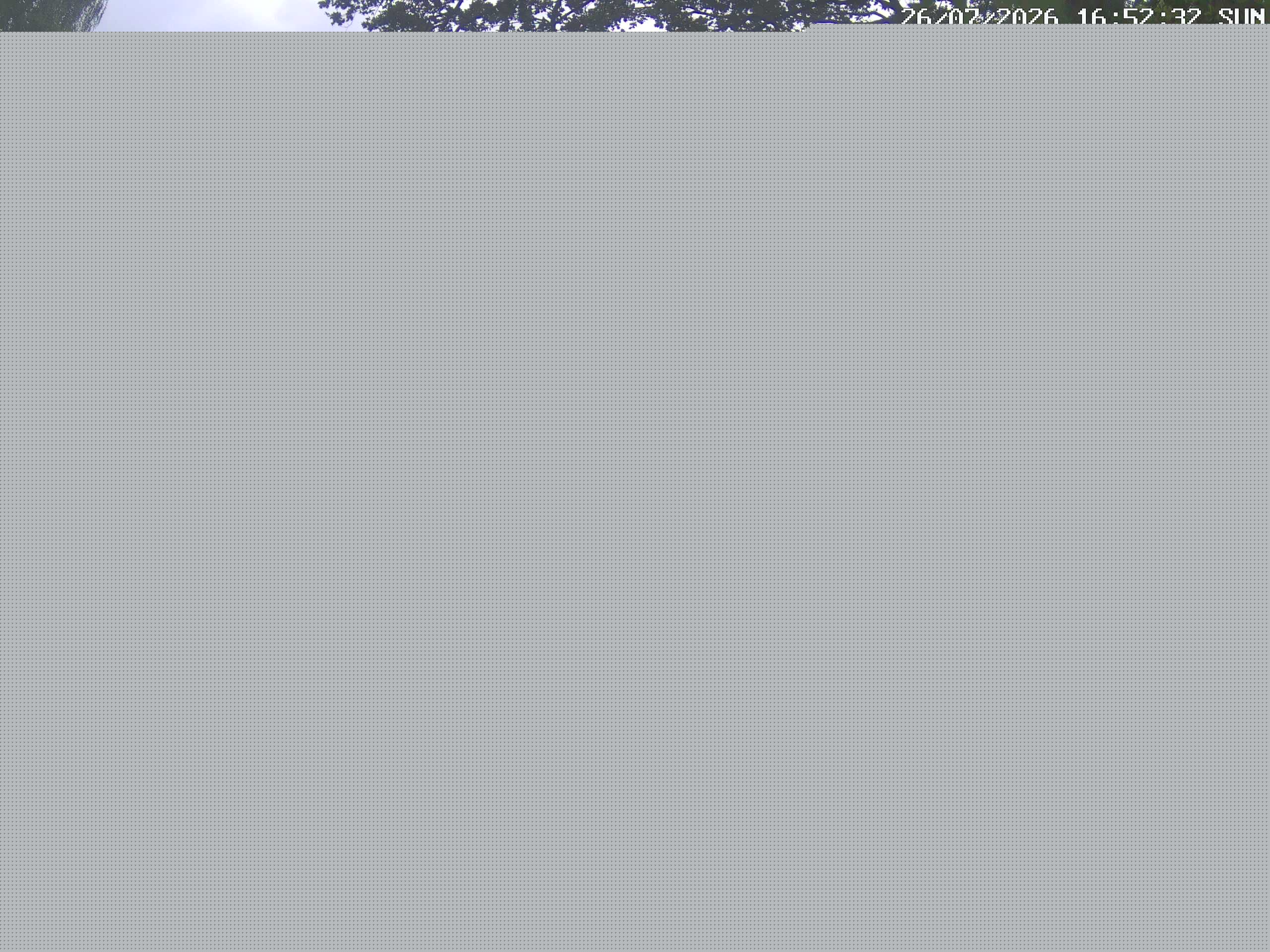 GCW Webcam Grün 10