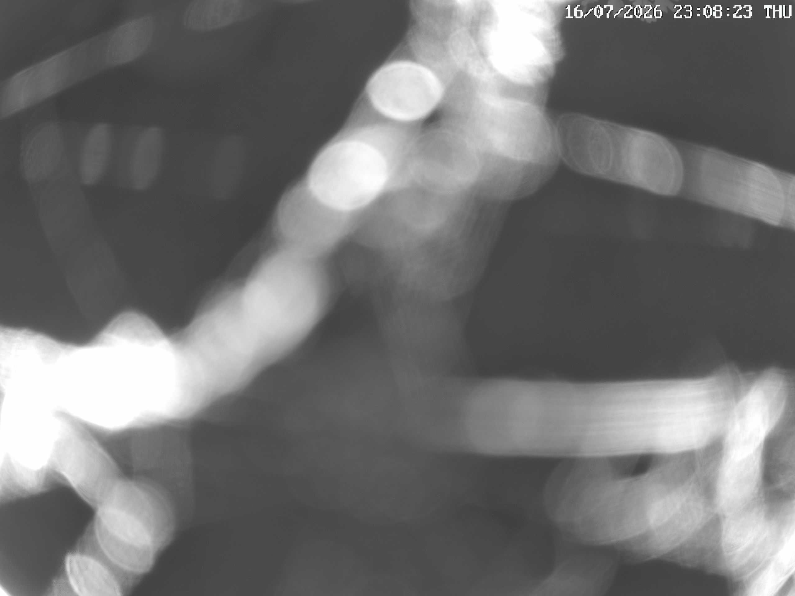 GCW Webcam Grün 10