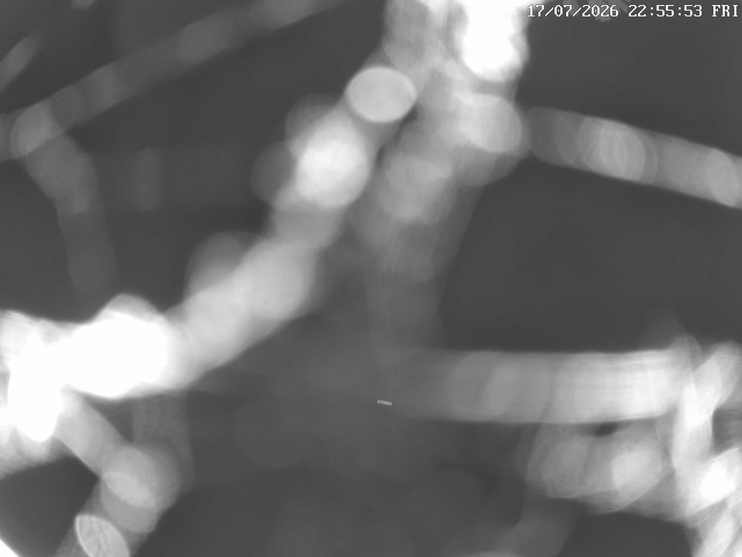 GCW Webcam Grün 10