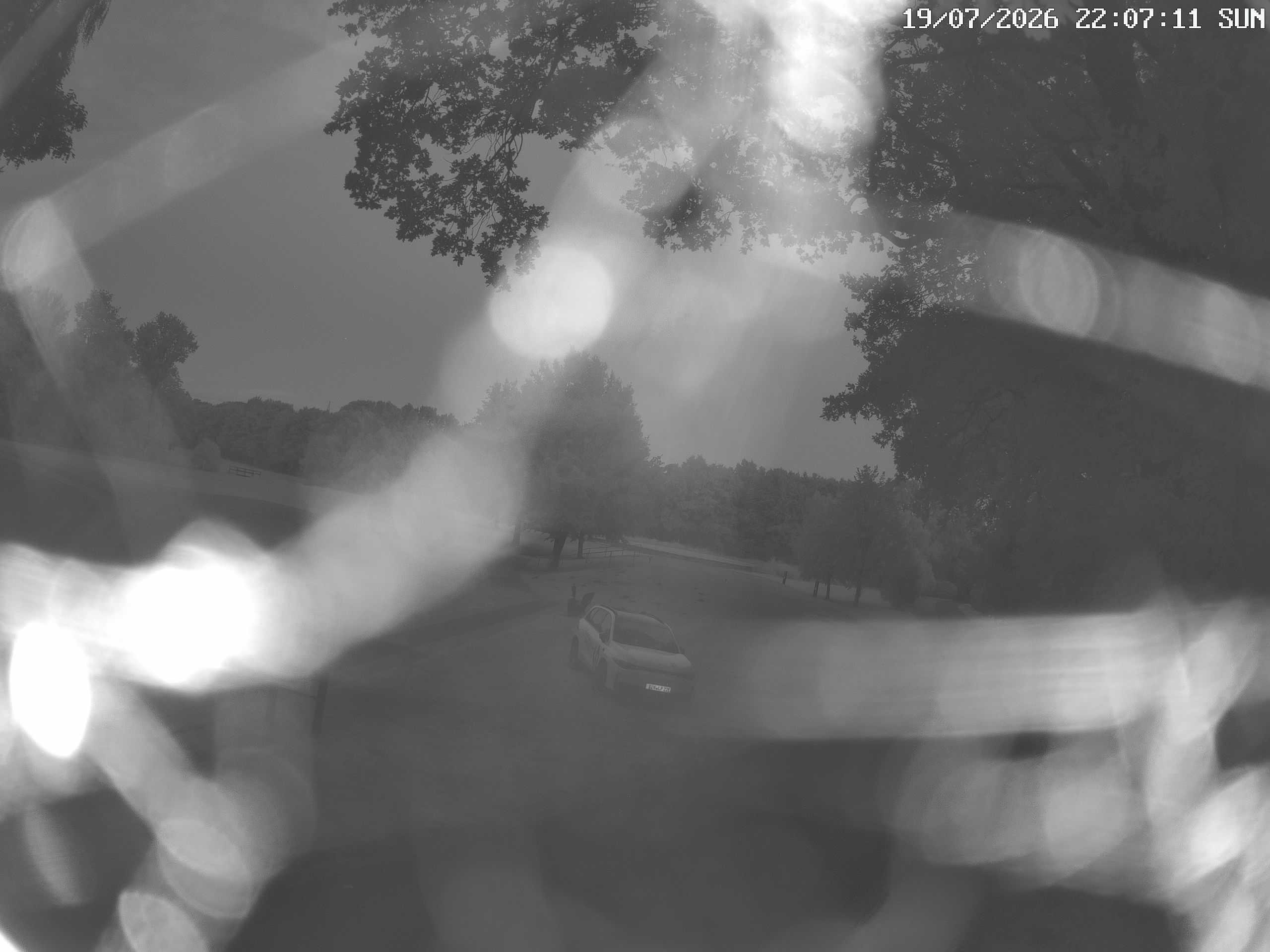 GCW Webcam Grün 10