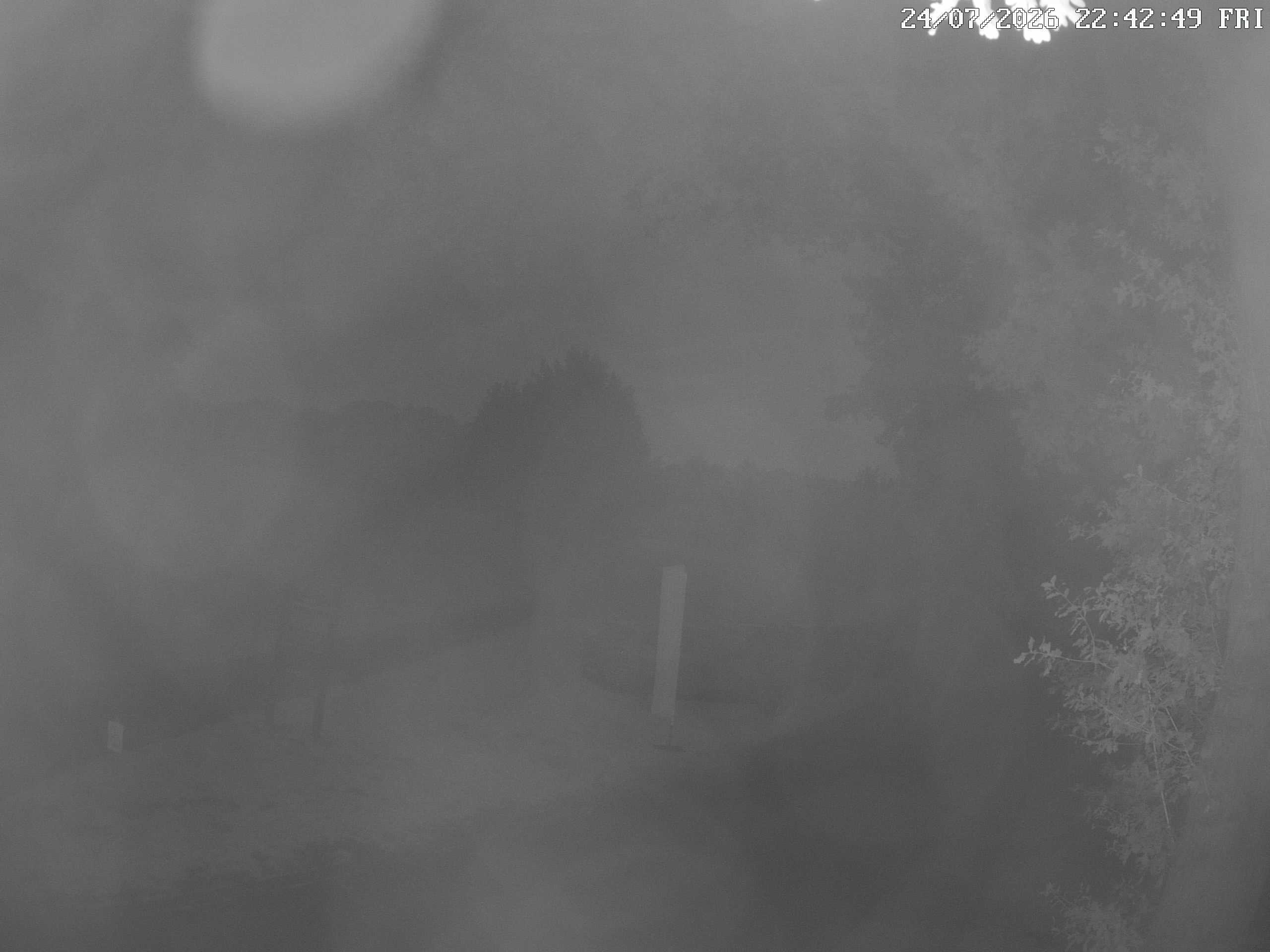 GCW Webcam Grün 10