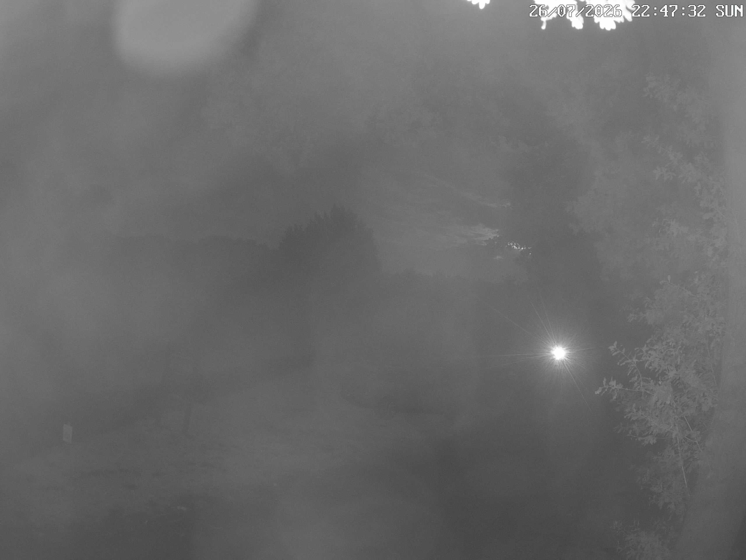 GCW Webcam Grün 10