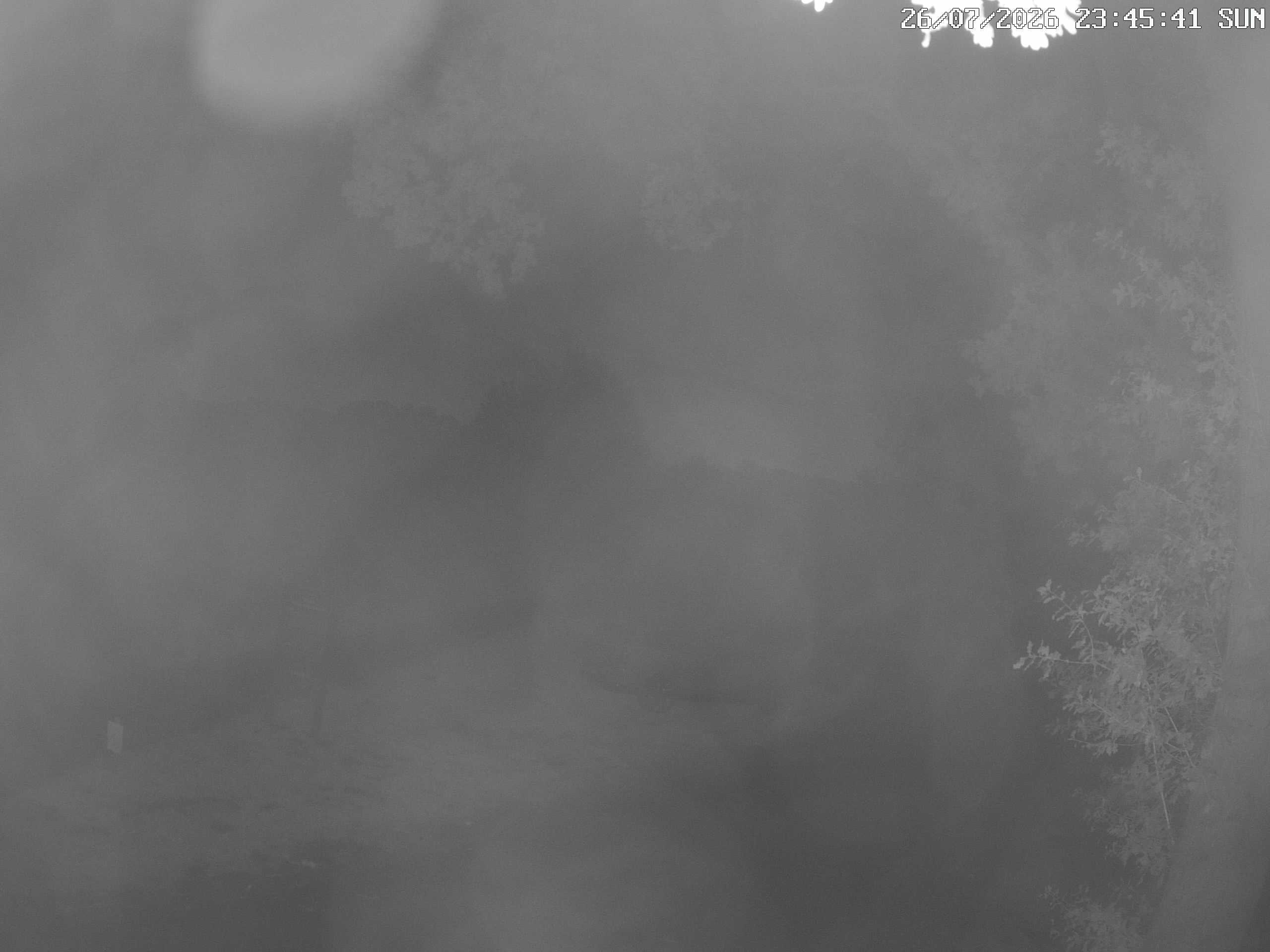 GCW Webcam Grün 10