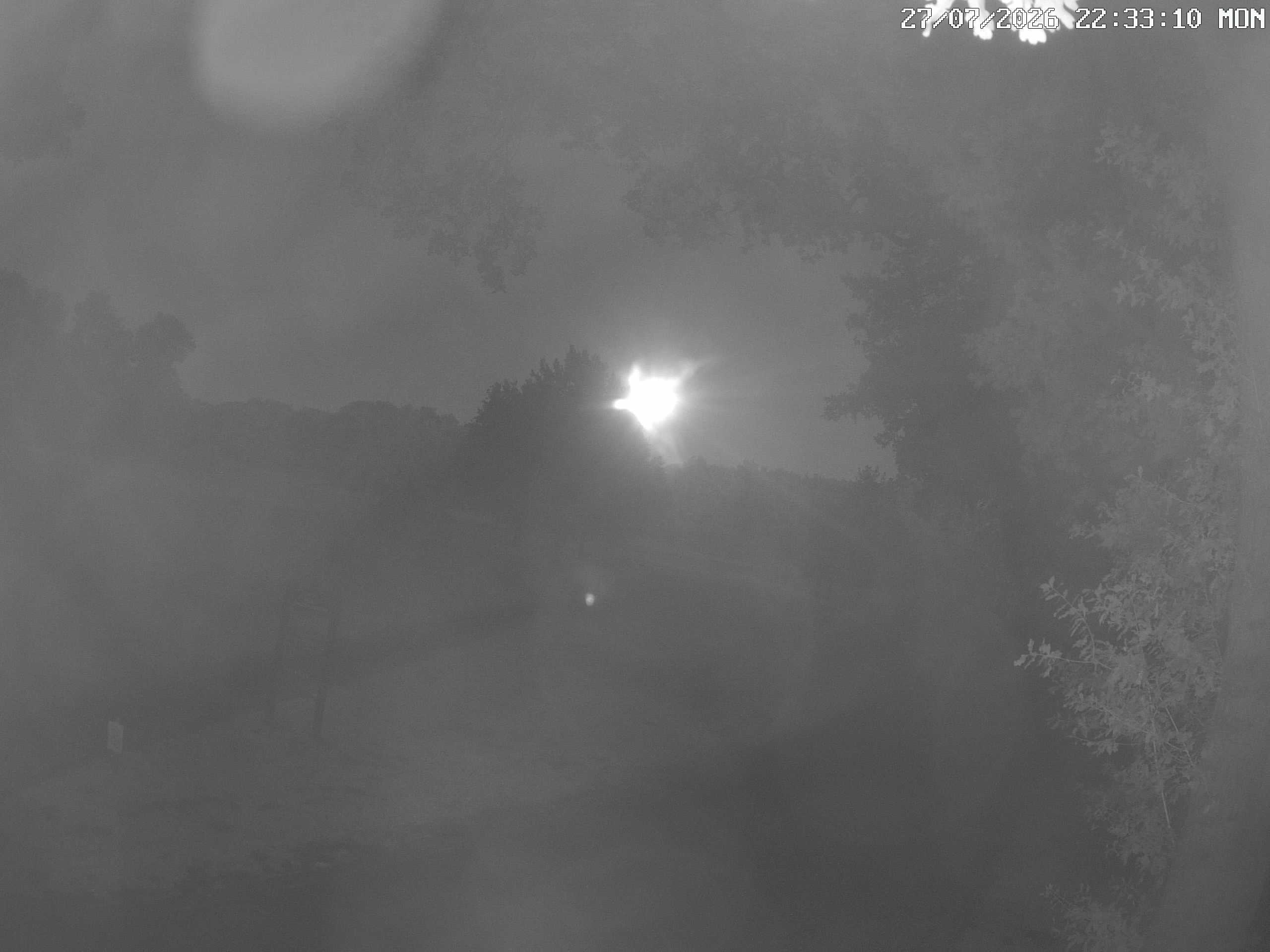 GCW Webcam Grün 10