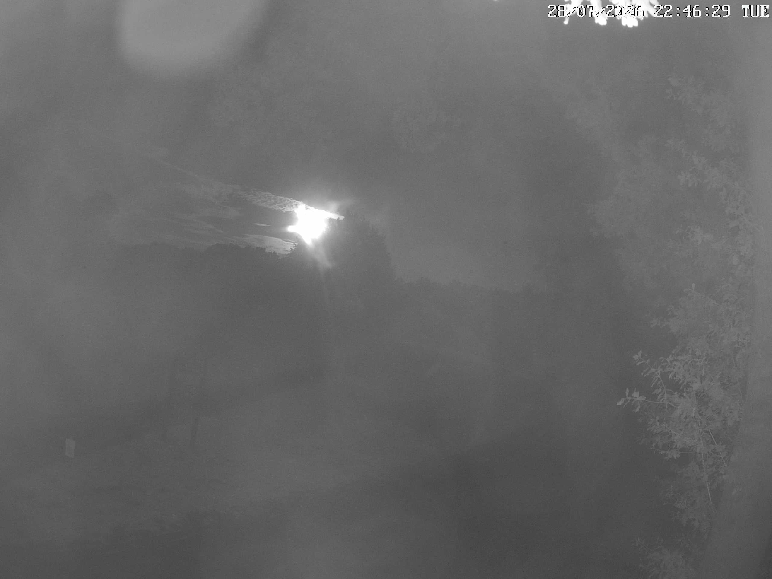 GCW Webcam Grün 10