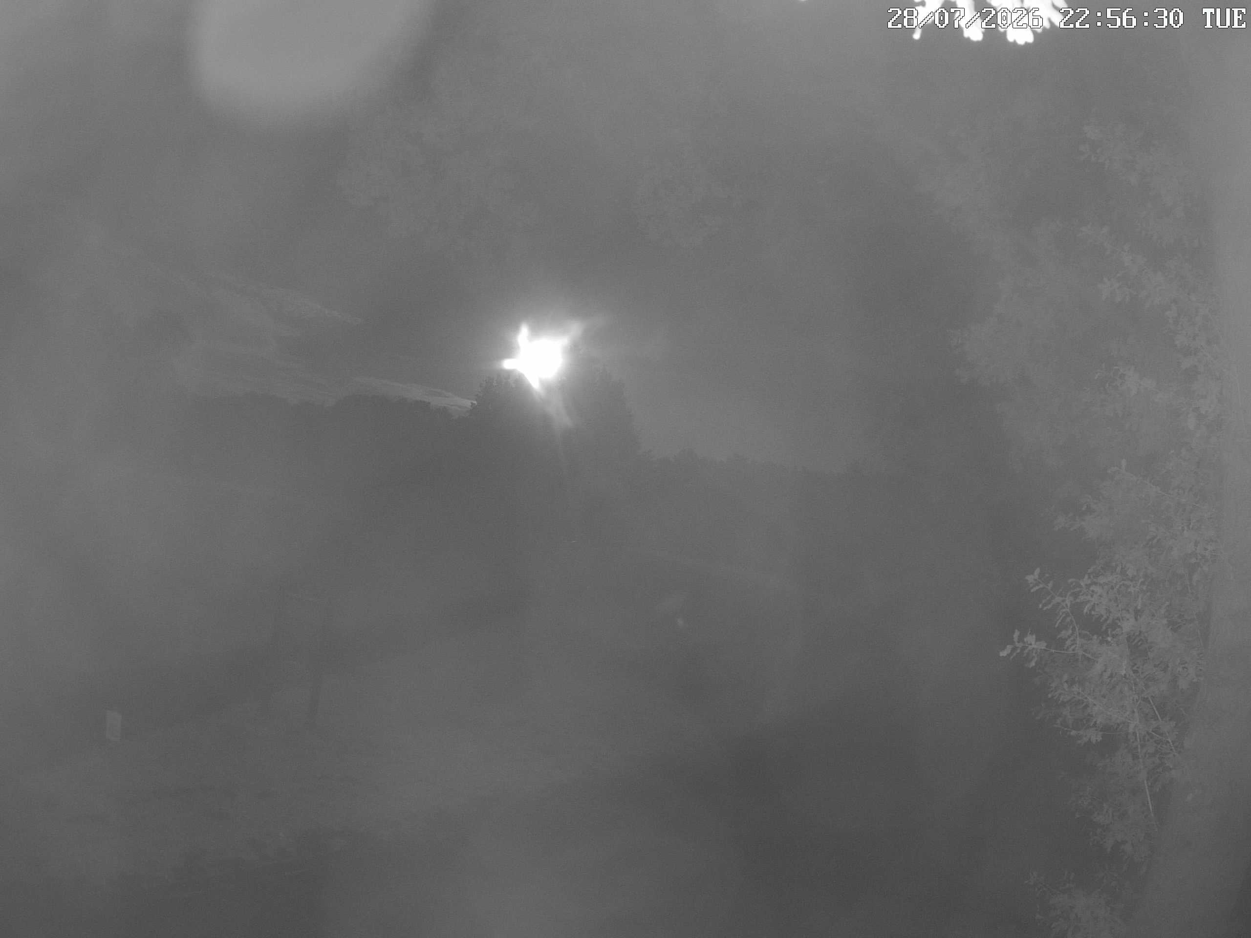GCW Webcam Grün 10