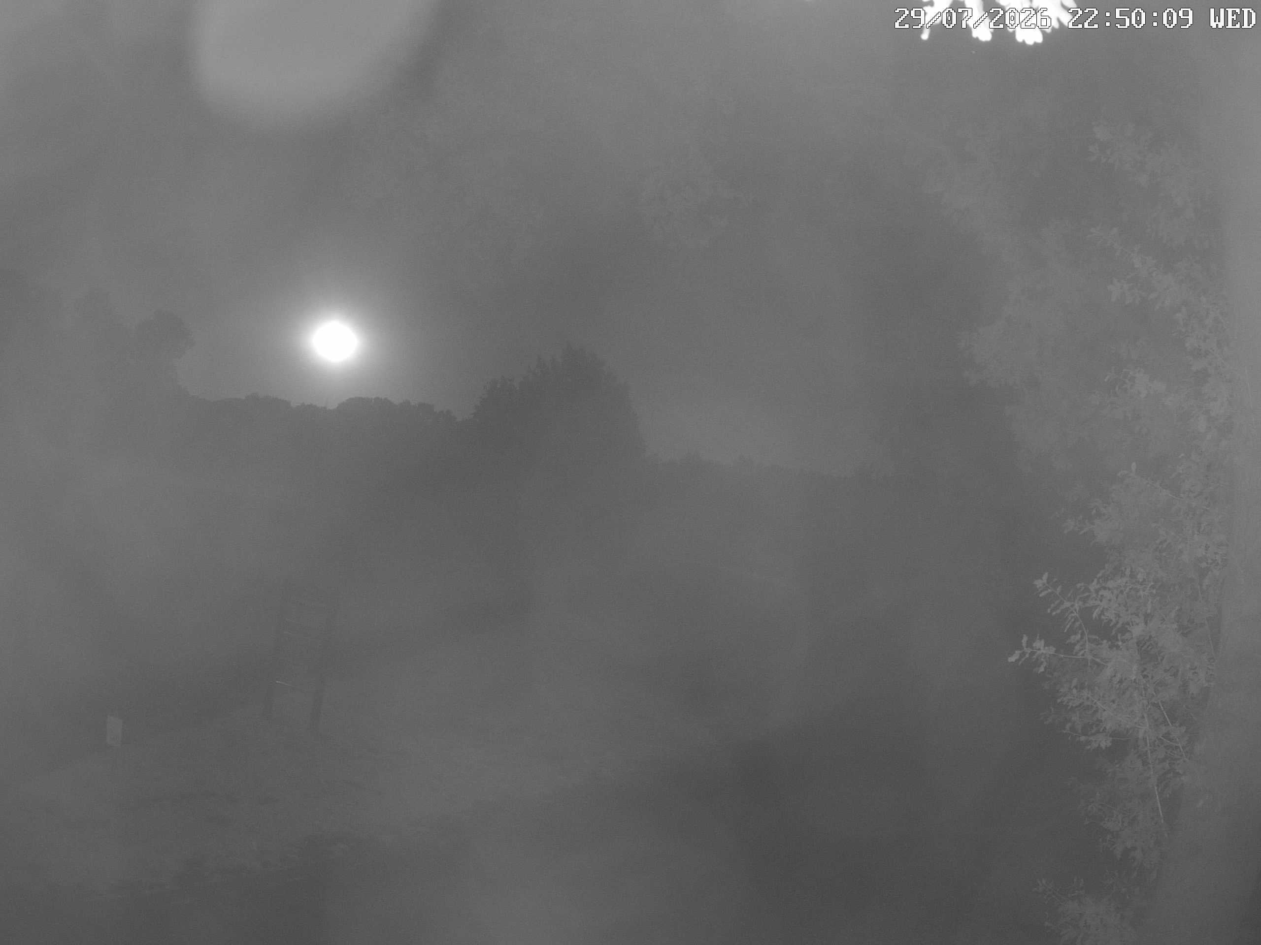 GCW Webcam Grün 10