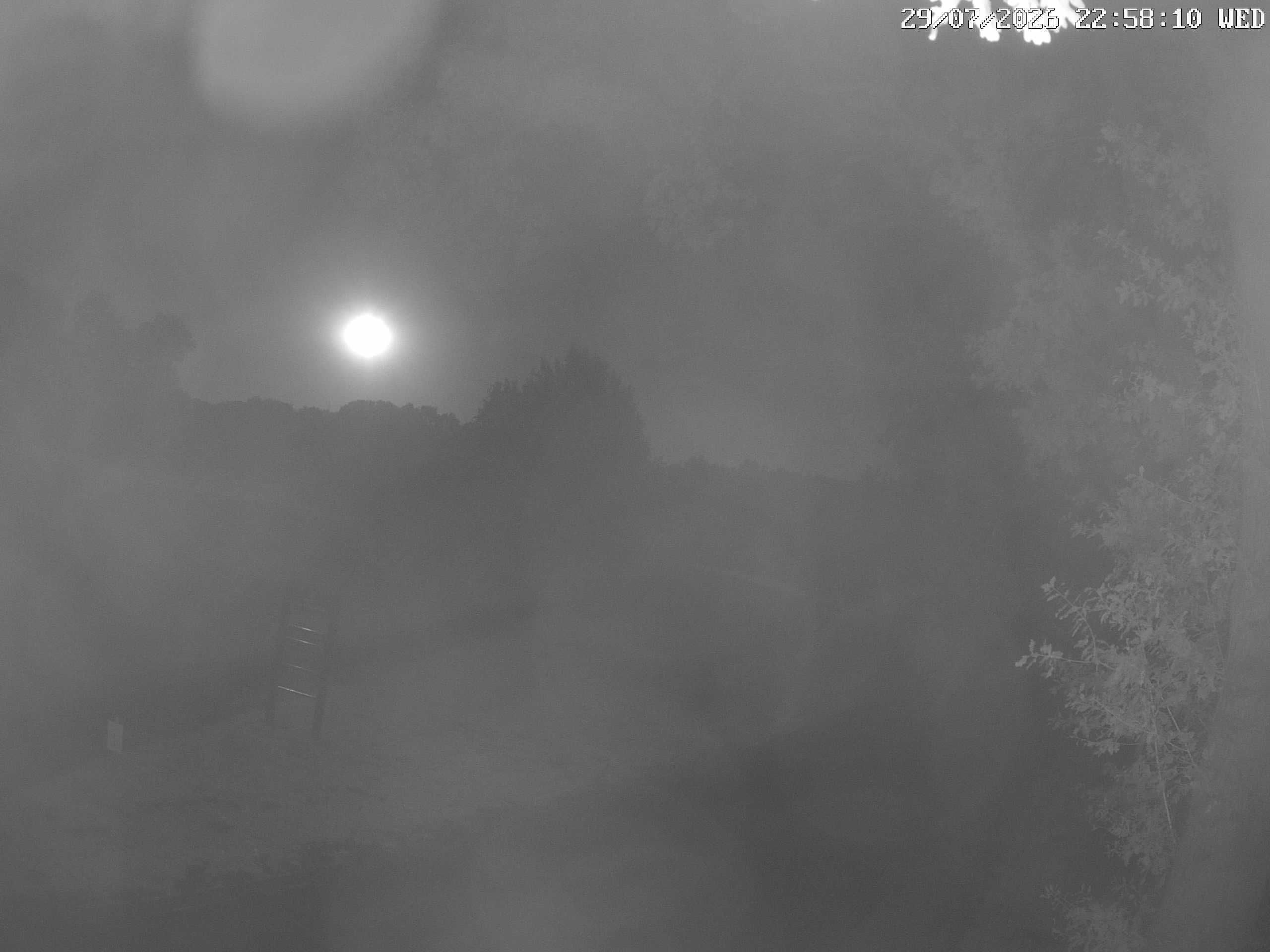 GCW Webcam Grün 10