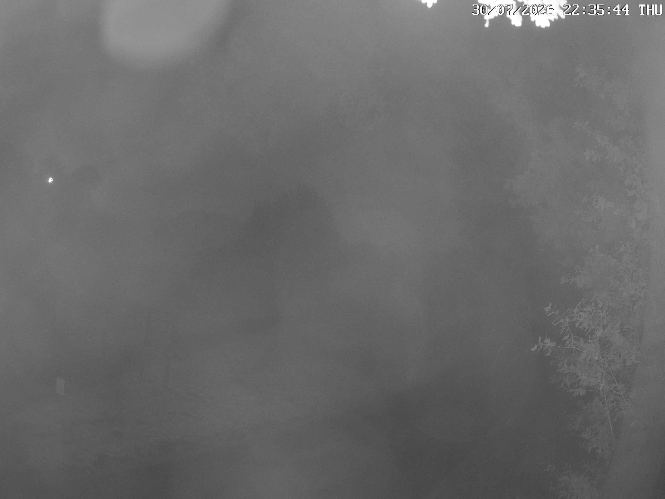 GCW Webcam Grün 10