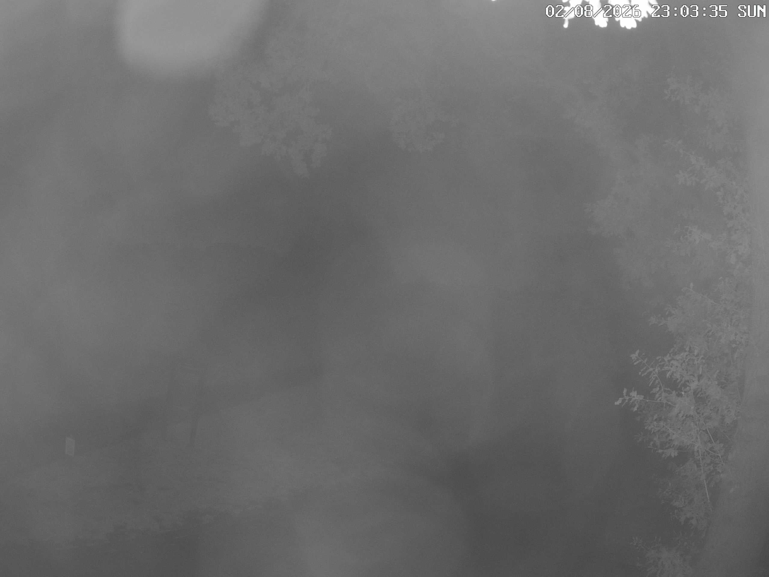 GCW Webcam Grün 10