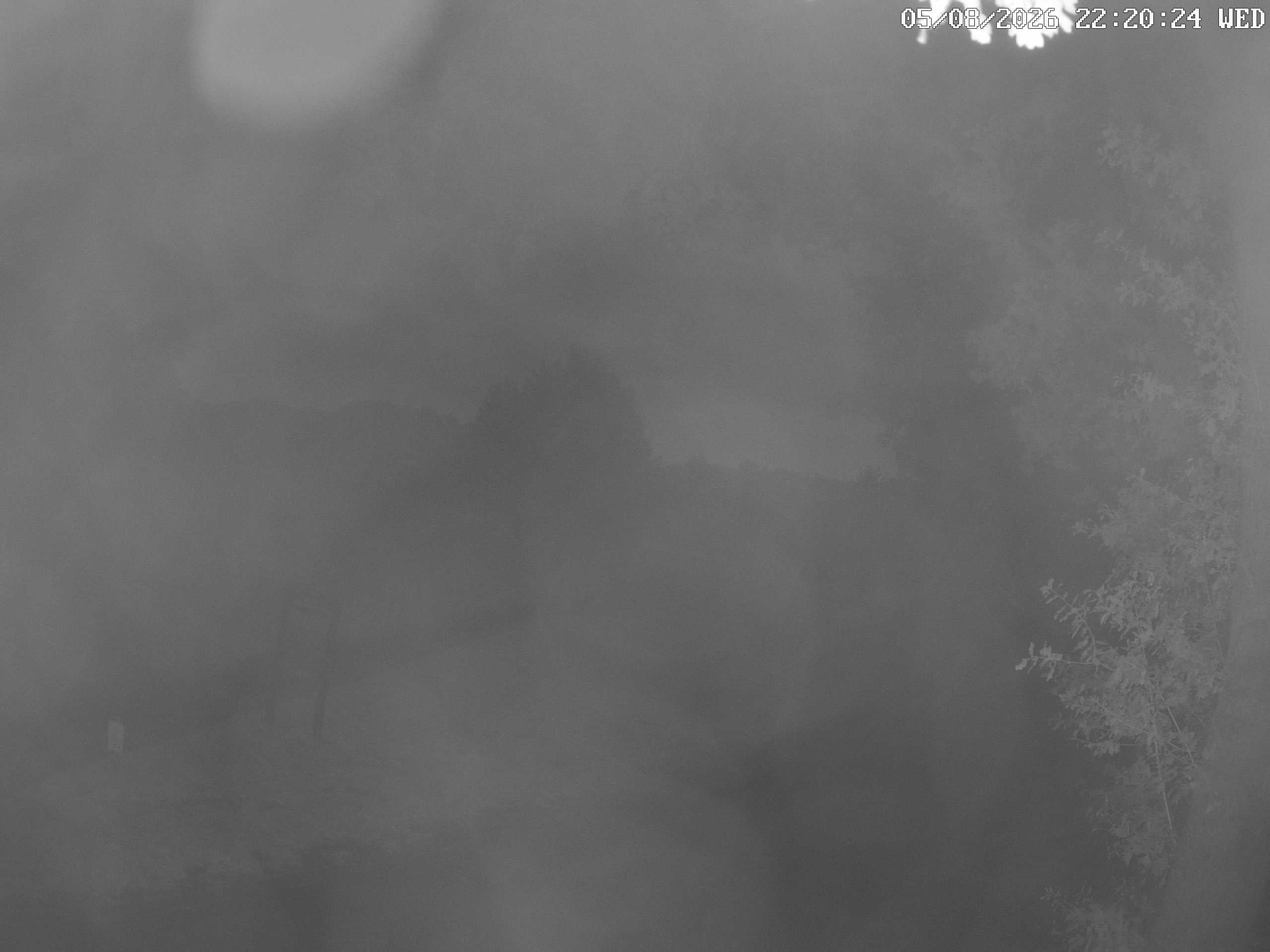 GCW Webcam Grün 10