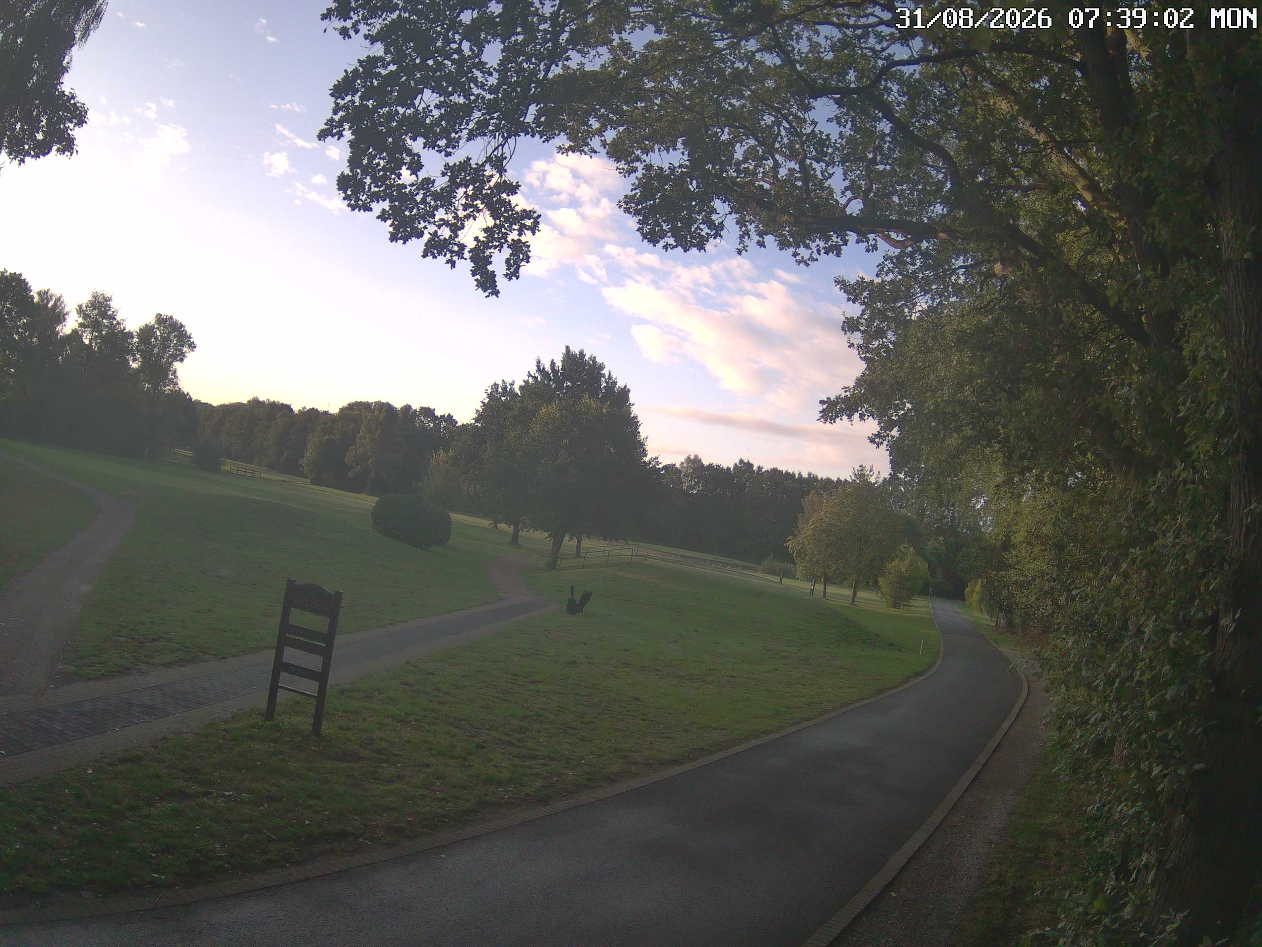 GCW Webcam Grün 10