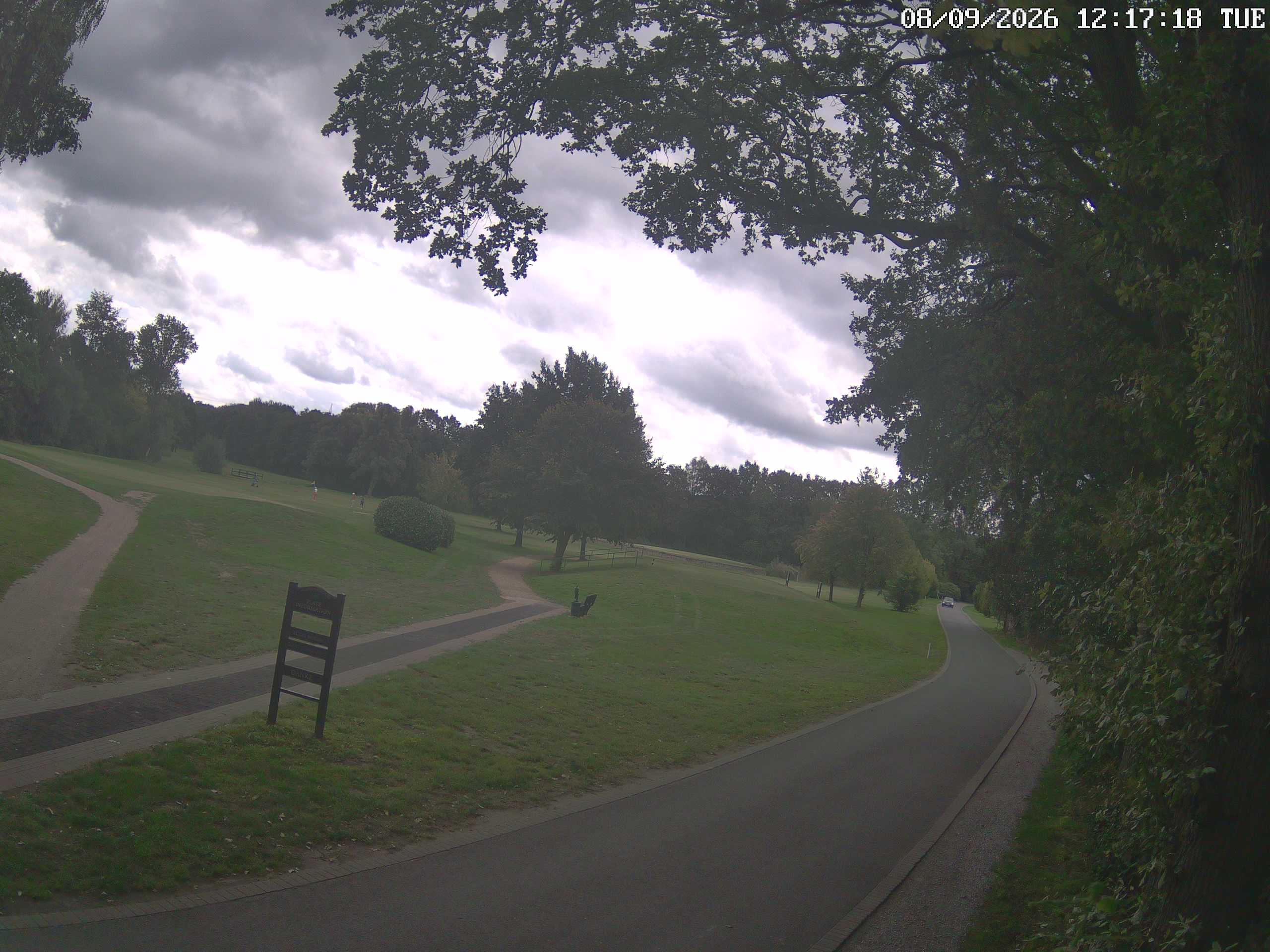 GCW Webcam Grün 10
