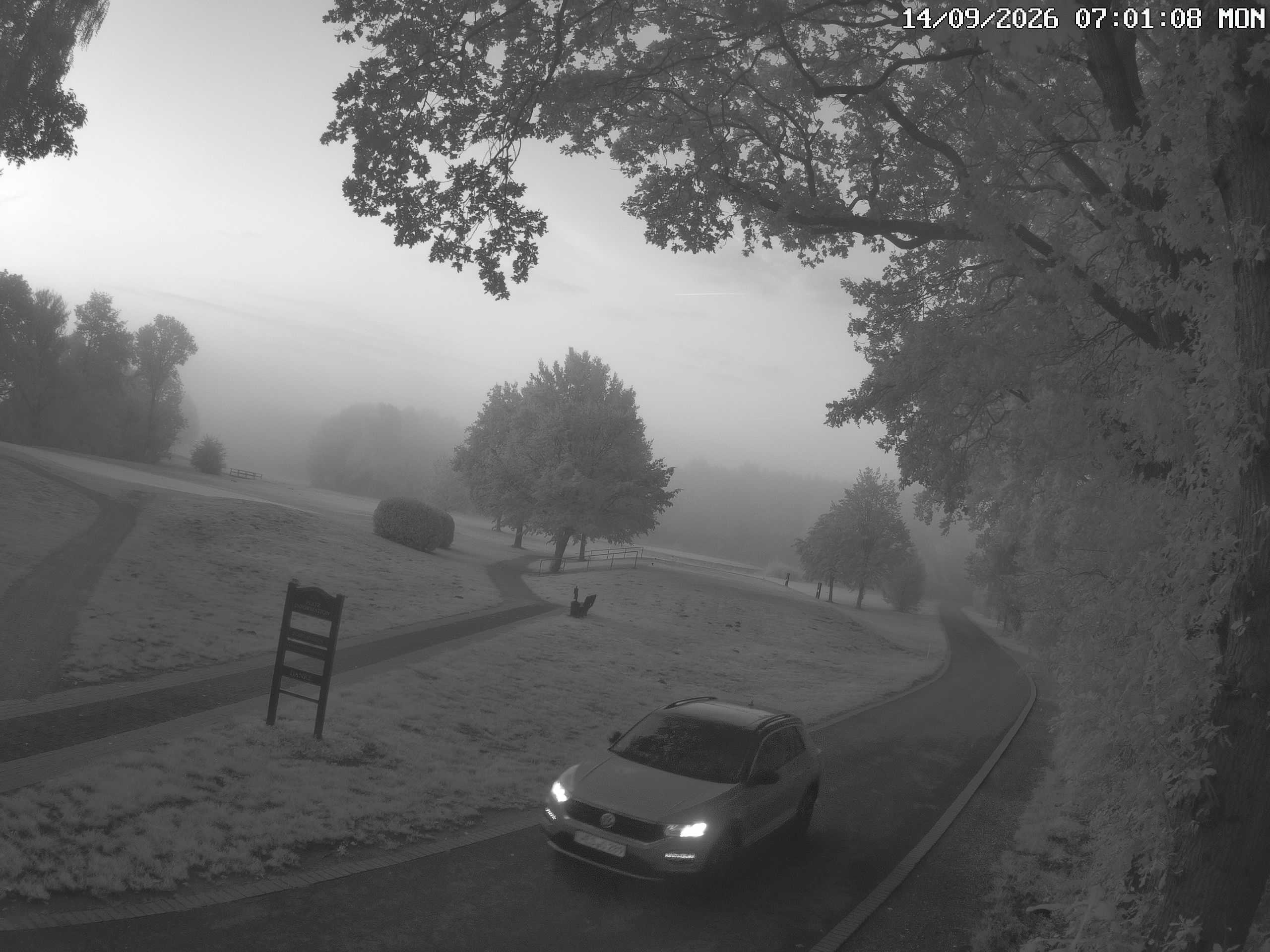 GCW Webcam Grün 10