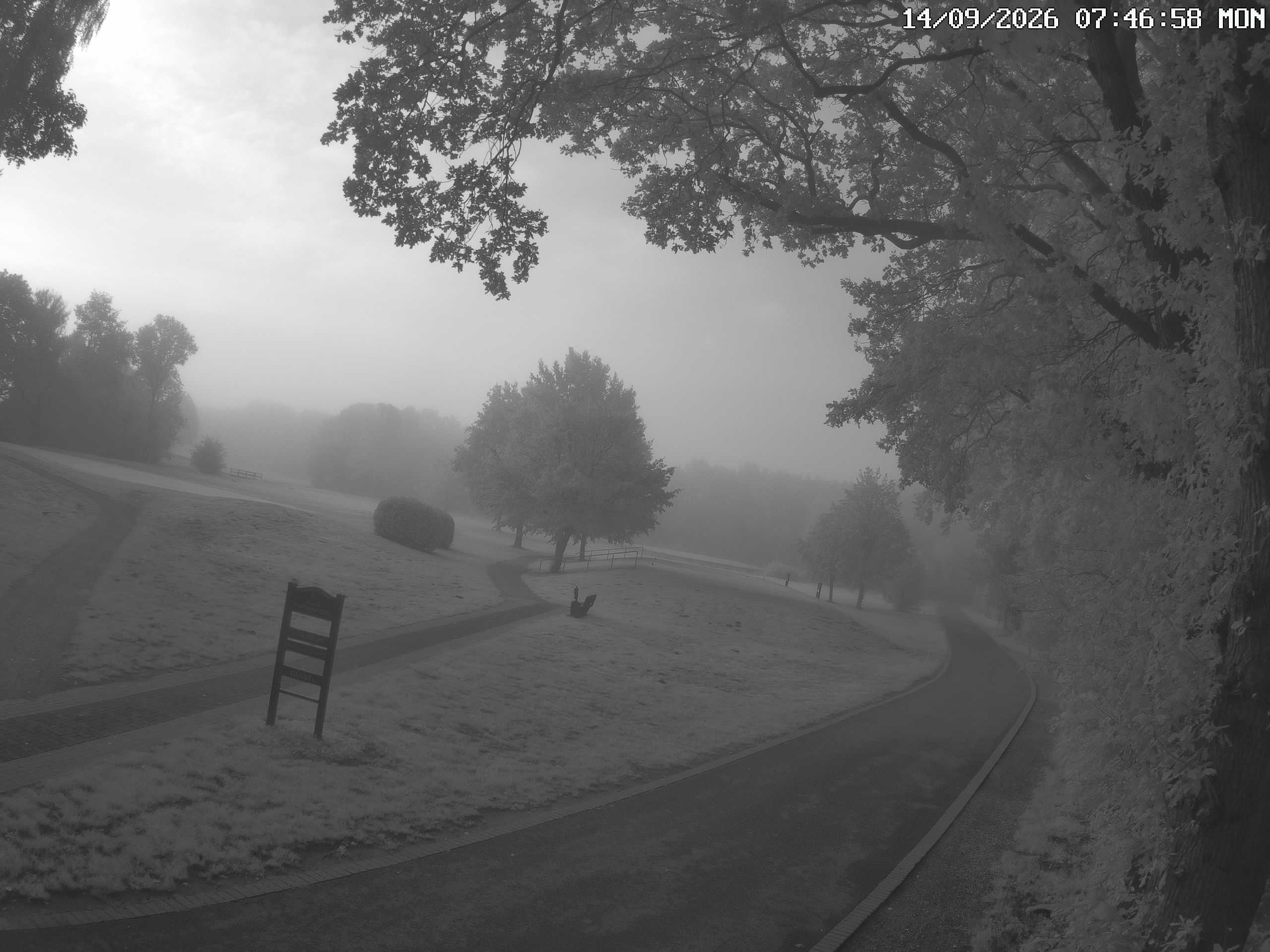 GCW Webcam Grün 10