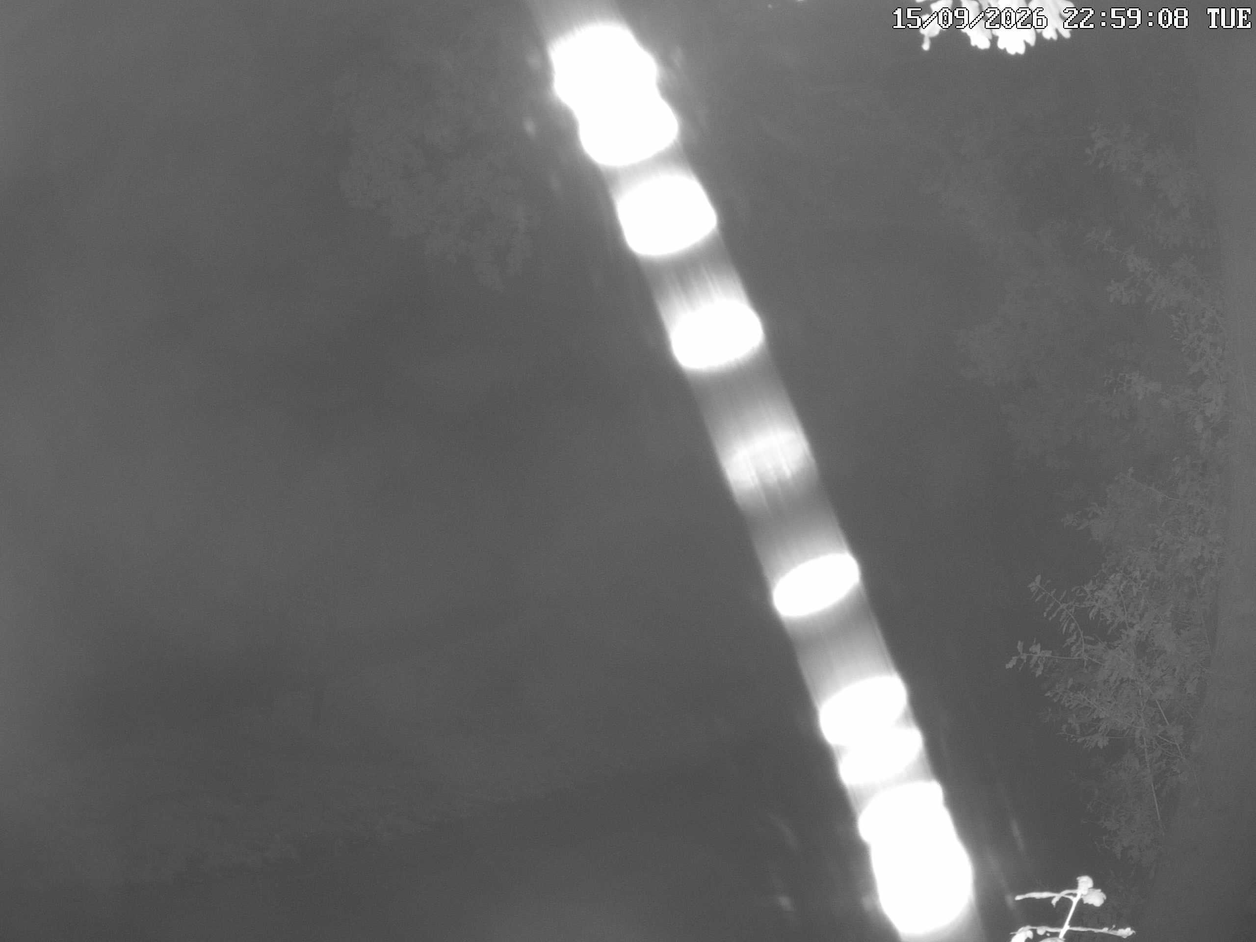GCW Webcam Grün 10