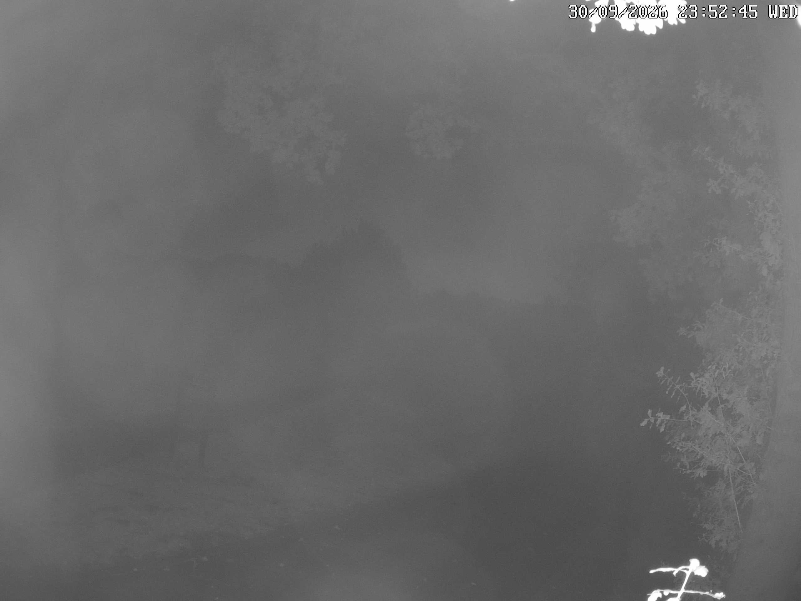GCW Webcam Grün 10