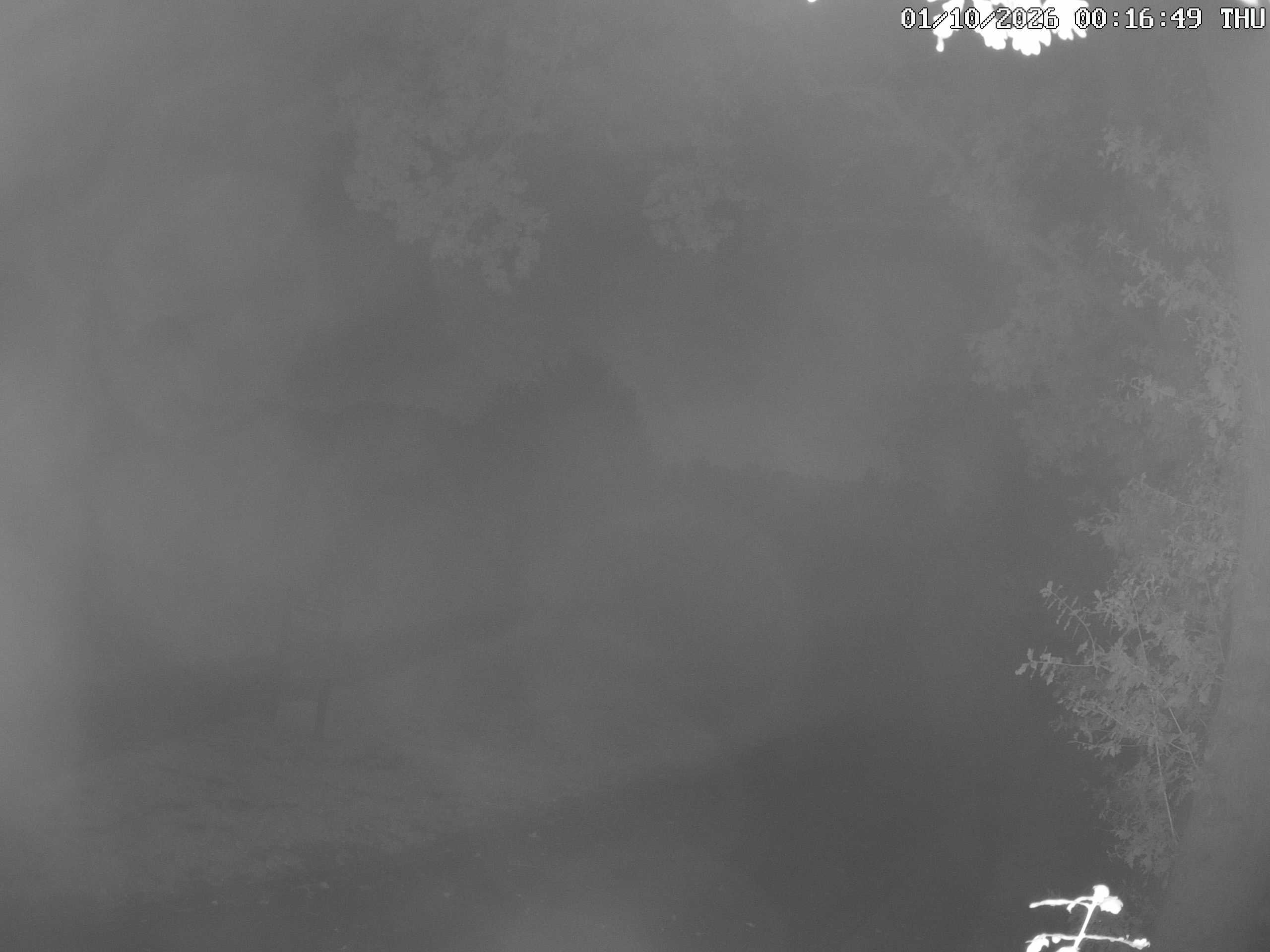 GCW Webcam Grün 10