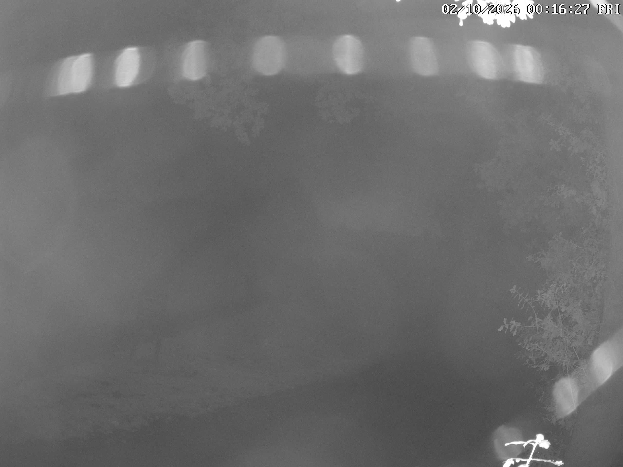 GCW Webcam Grün 10
