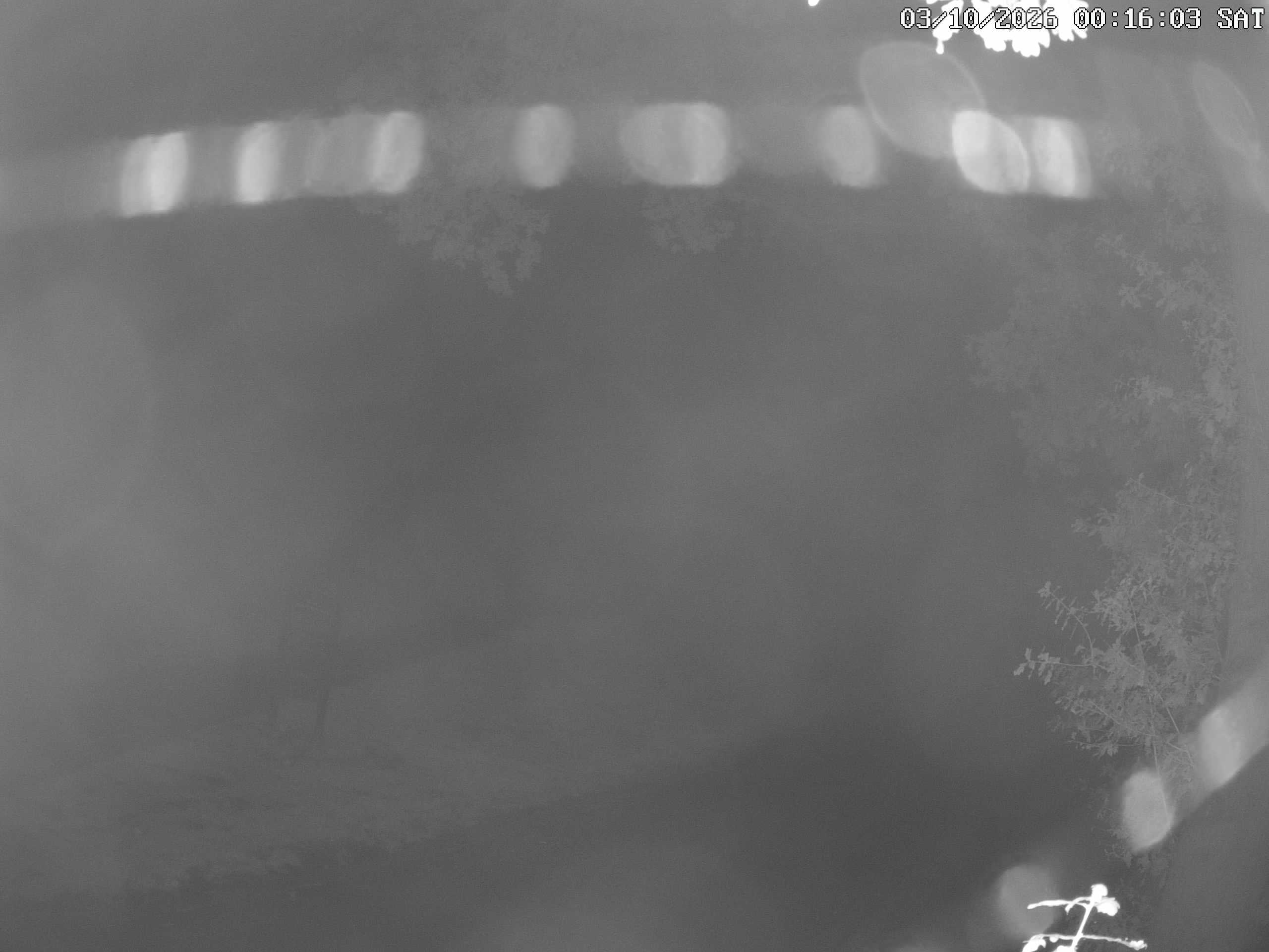GCW Webcam Grün 10