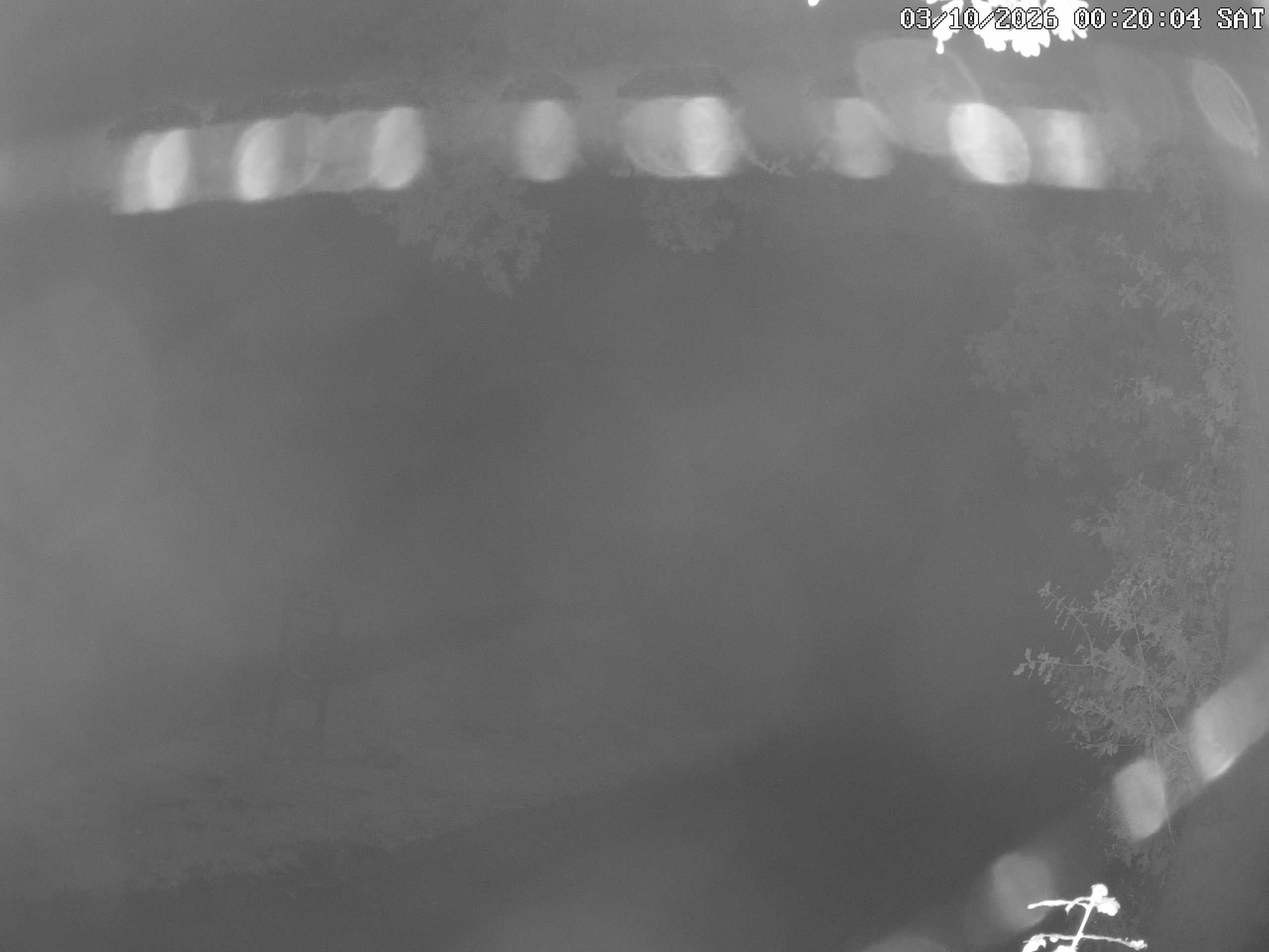 GCW Webcam Grün 10