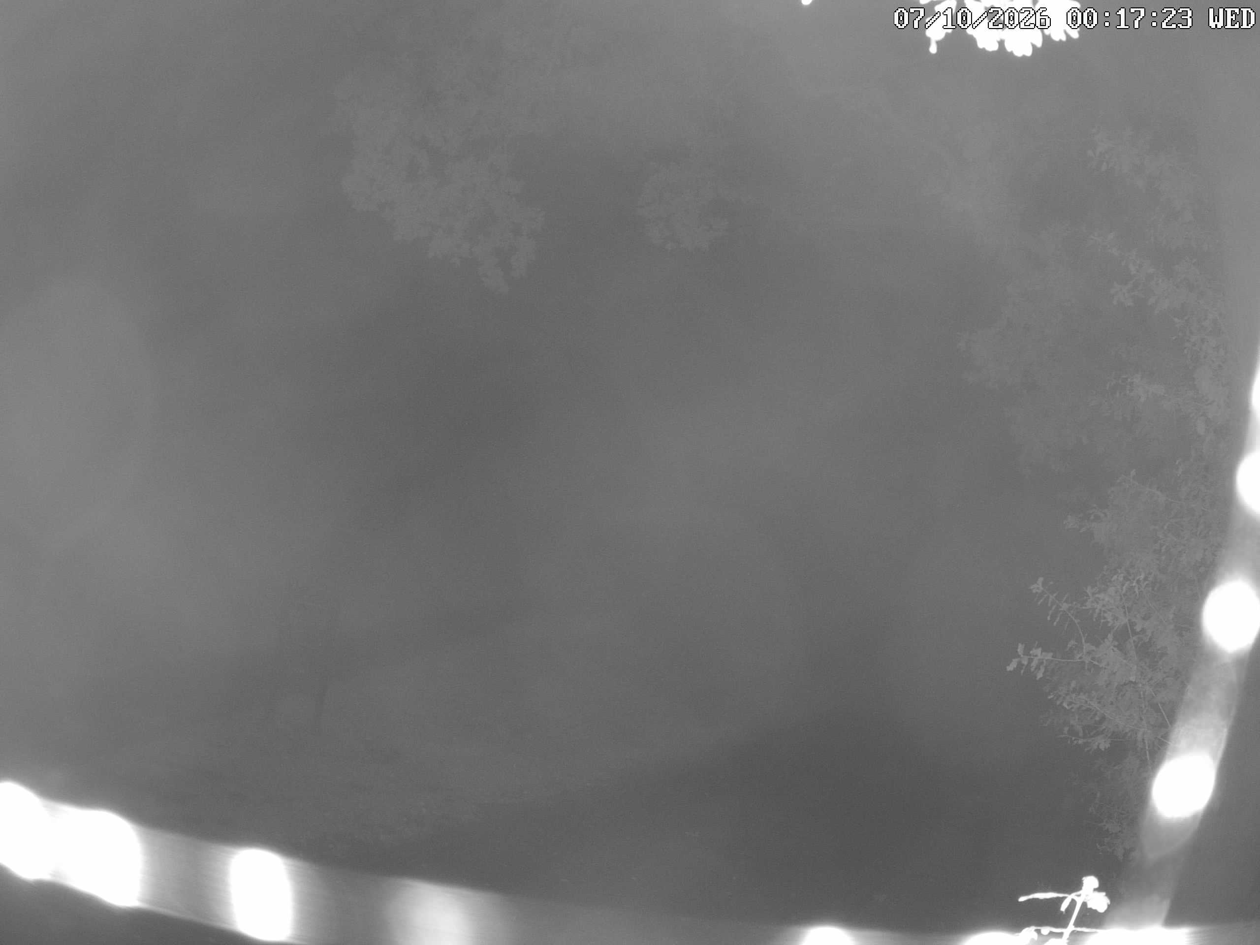 GCW Webcam Grün 10