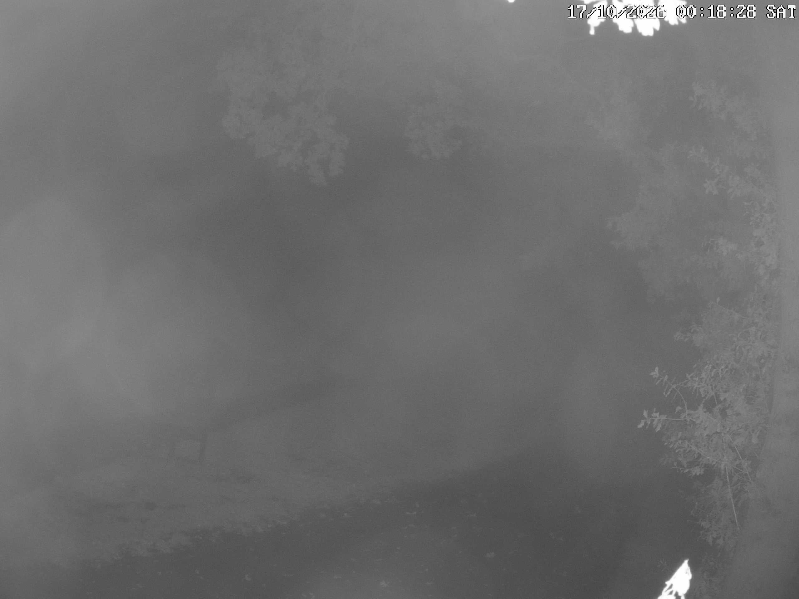 GCW Webcam Grün 10
