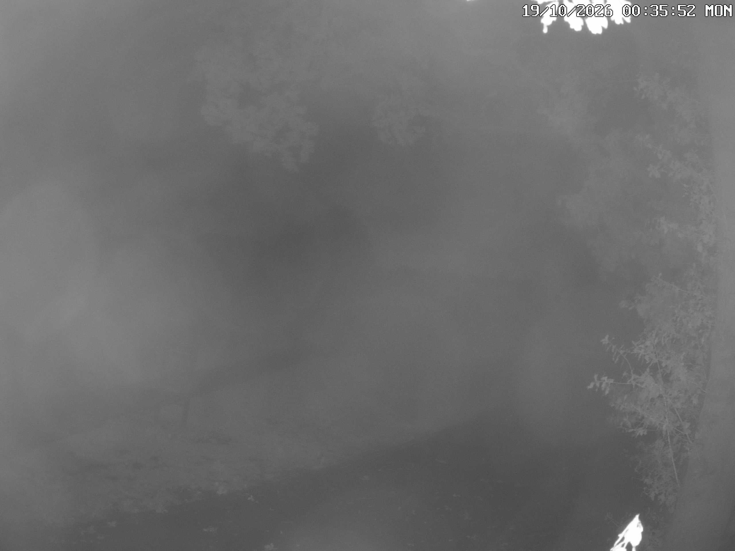 GCW Webcam Grün 10