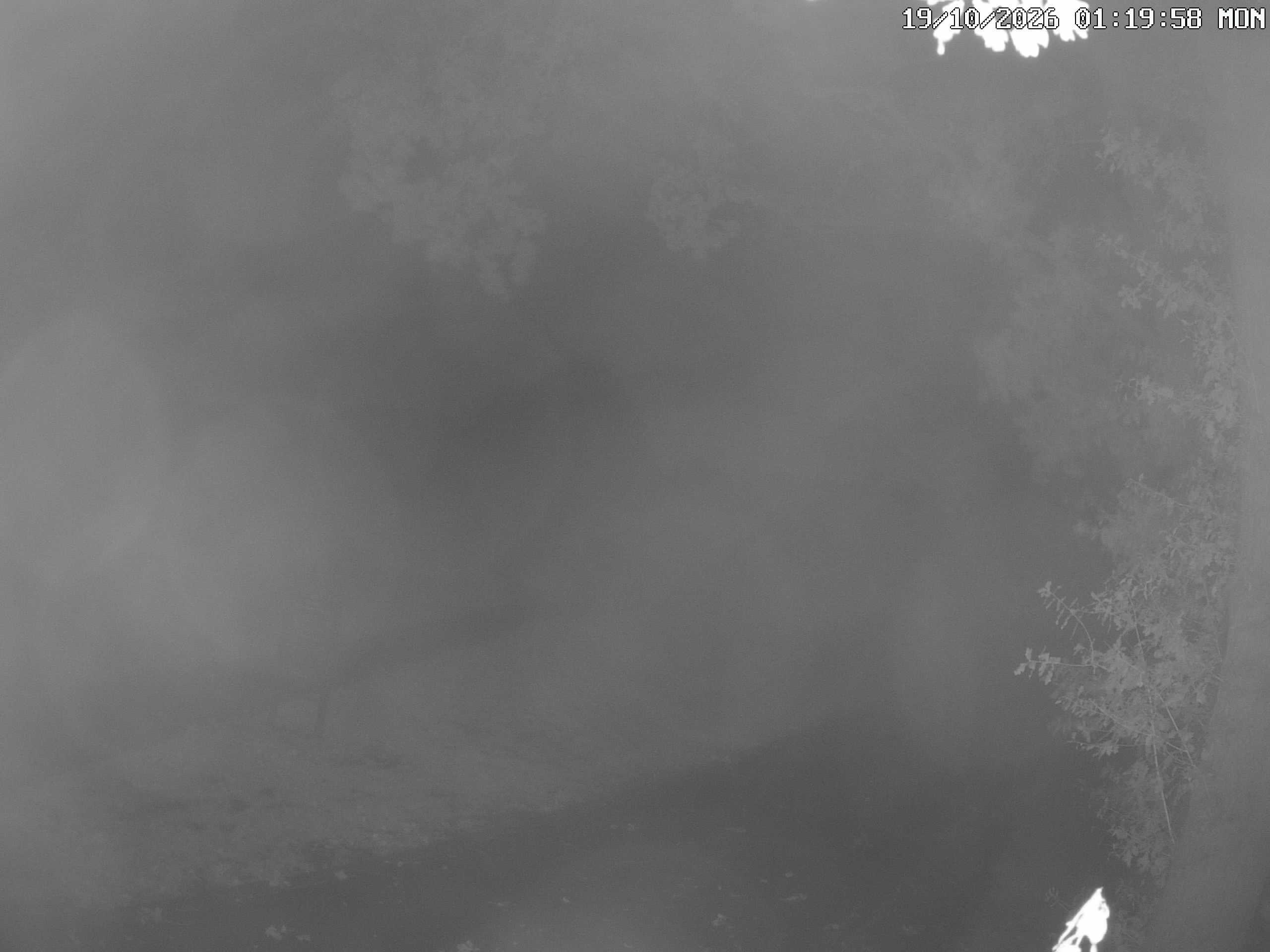 GCW Webcam Grün 10