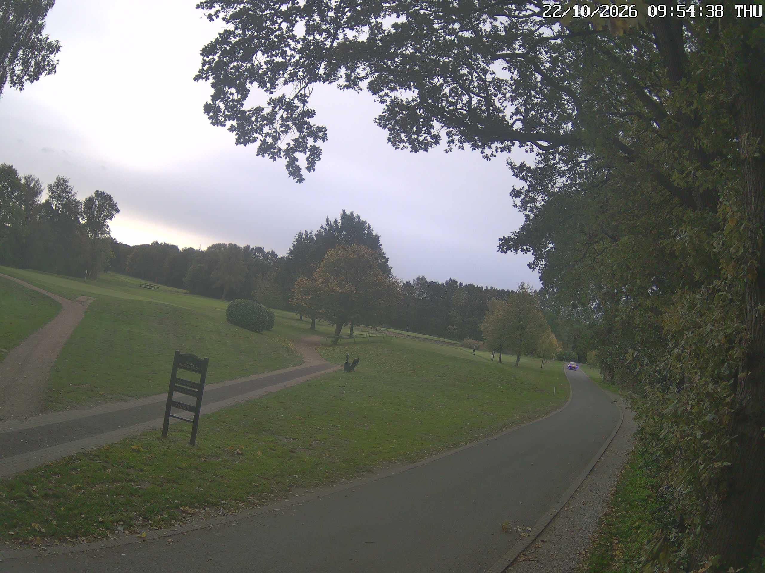 GCW Webcam Grün 10